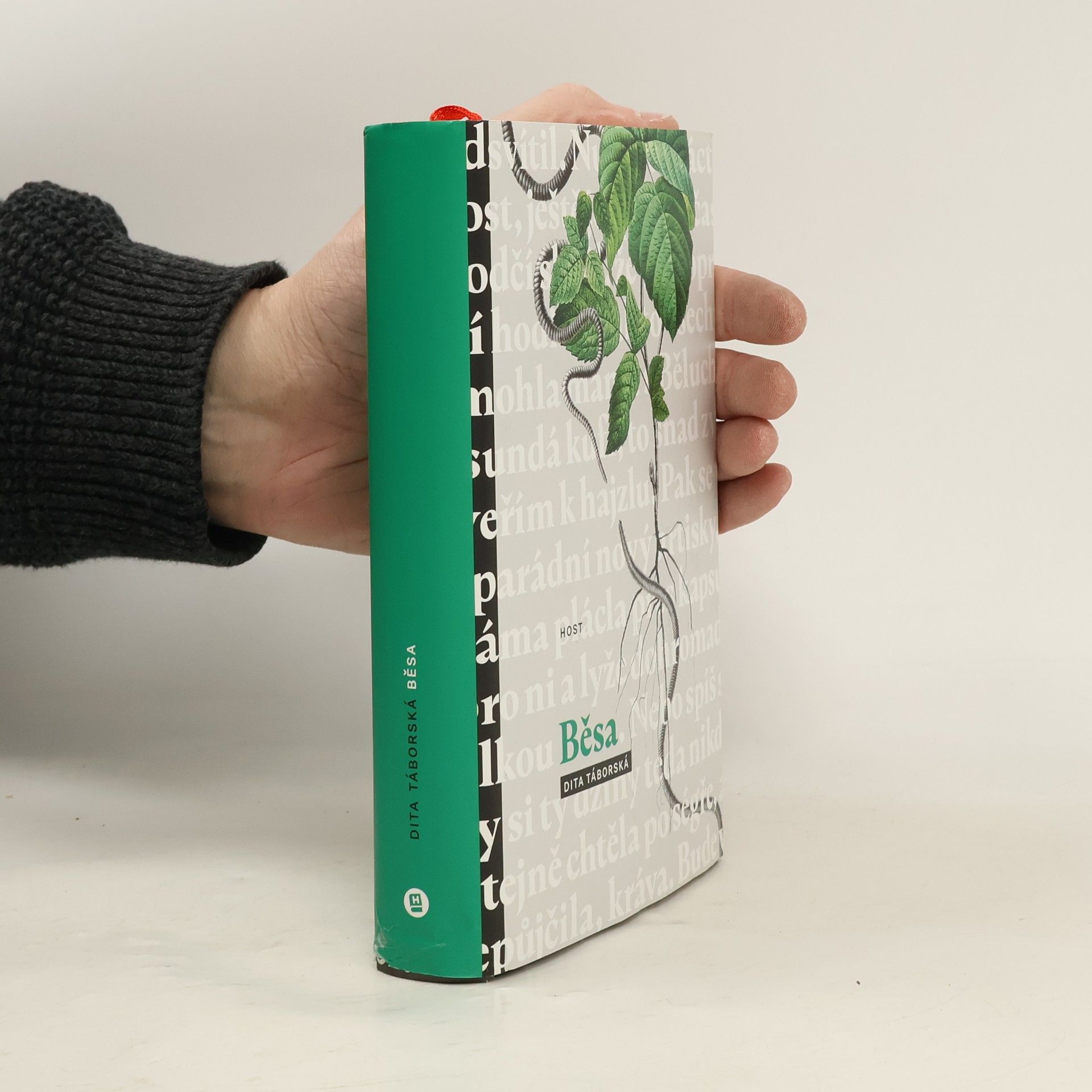 Dita Táborská Běsa