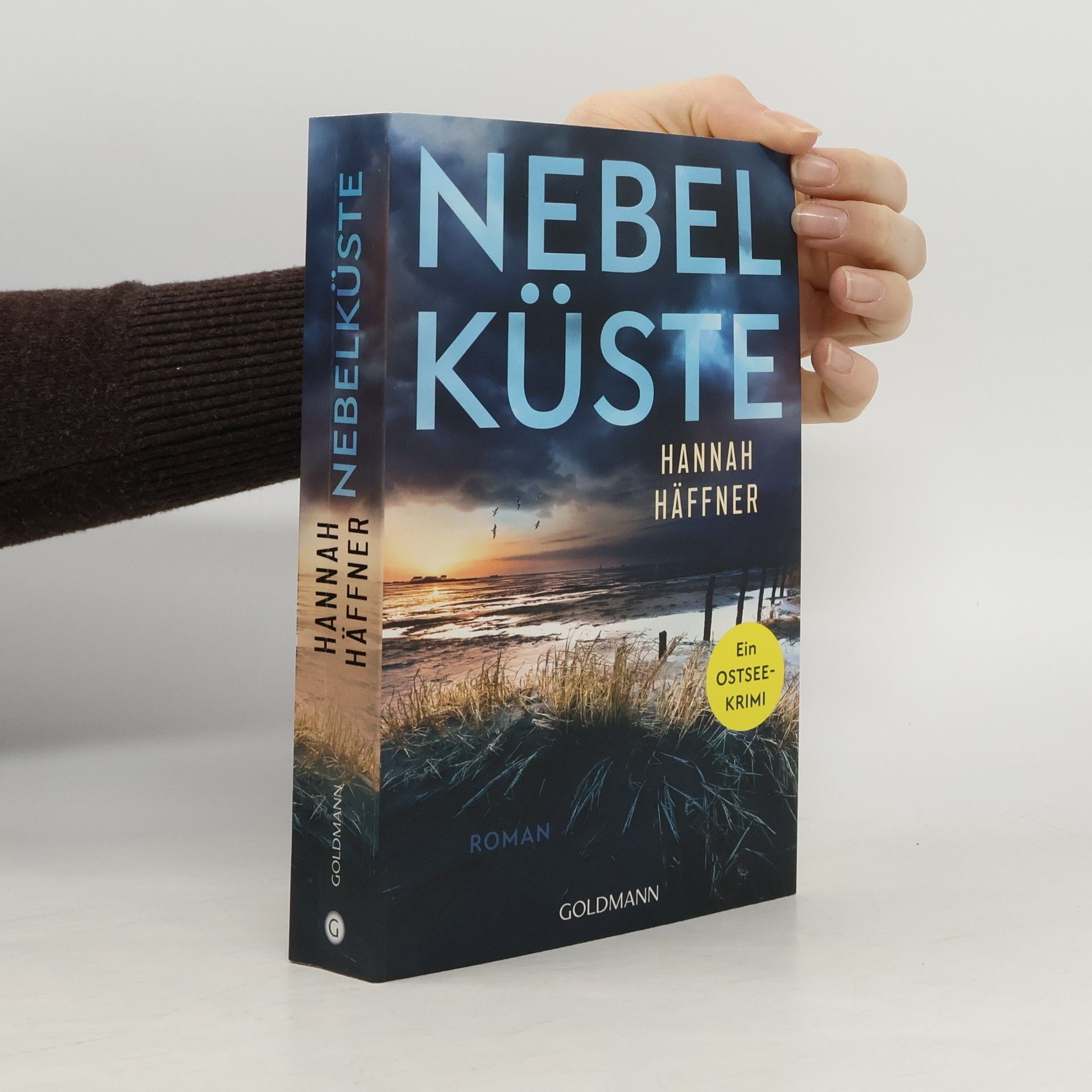 Hannah Häffner Nebelküste