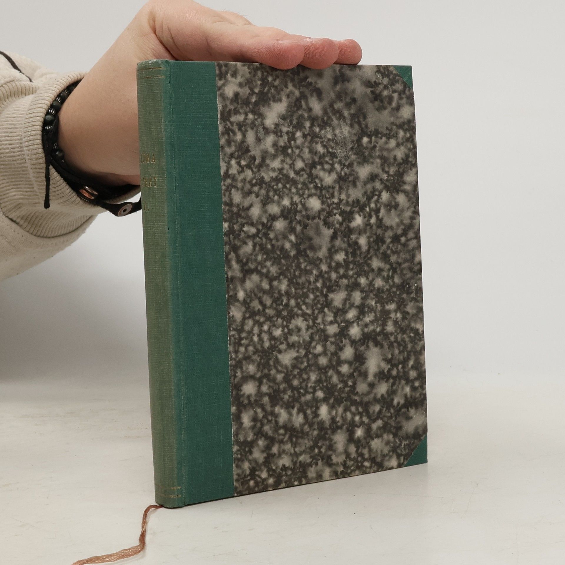 František Sokol Tůma Celibát. Román kněze 2