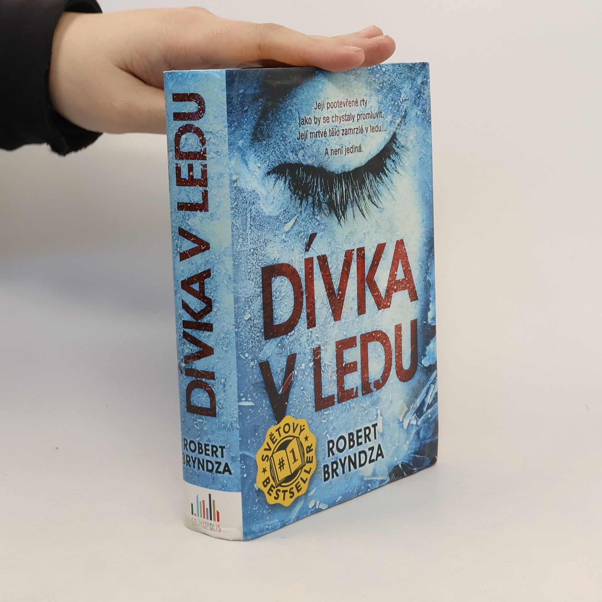 Robert Bryndza Dívka v ledu