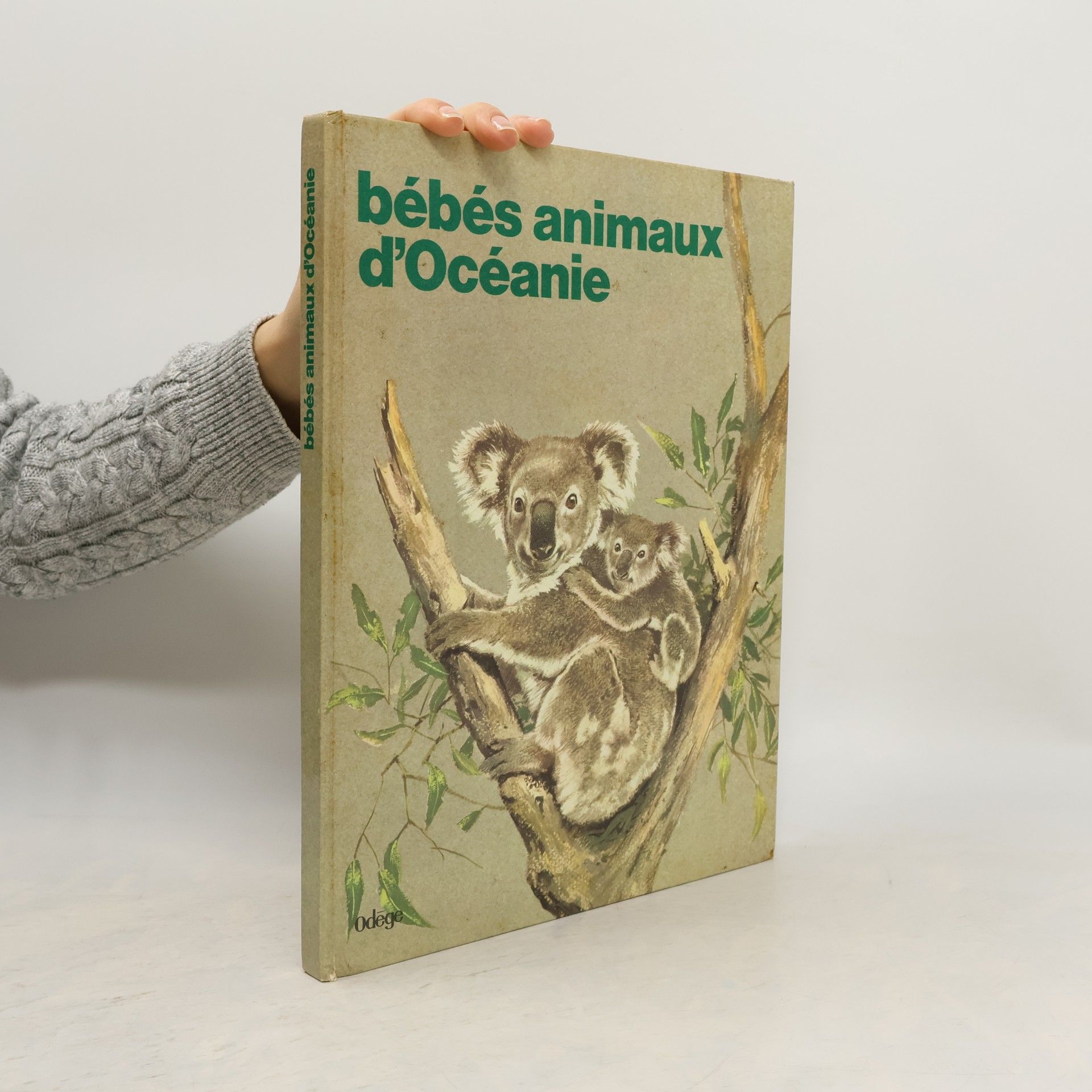 Autorenkollektiv bébés animaux d'Océanie