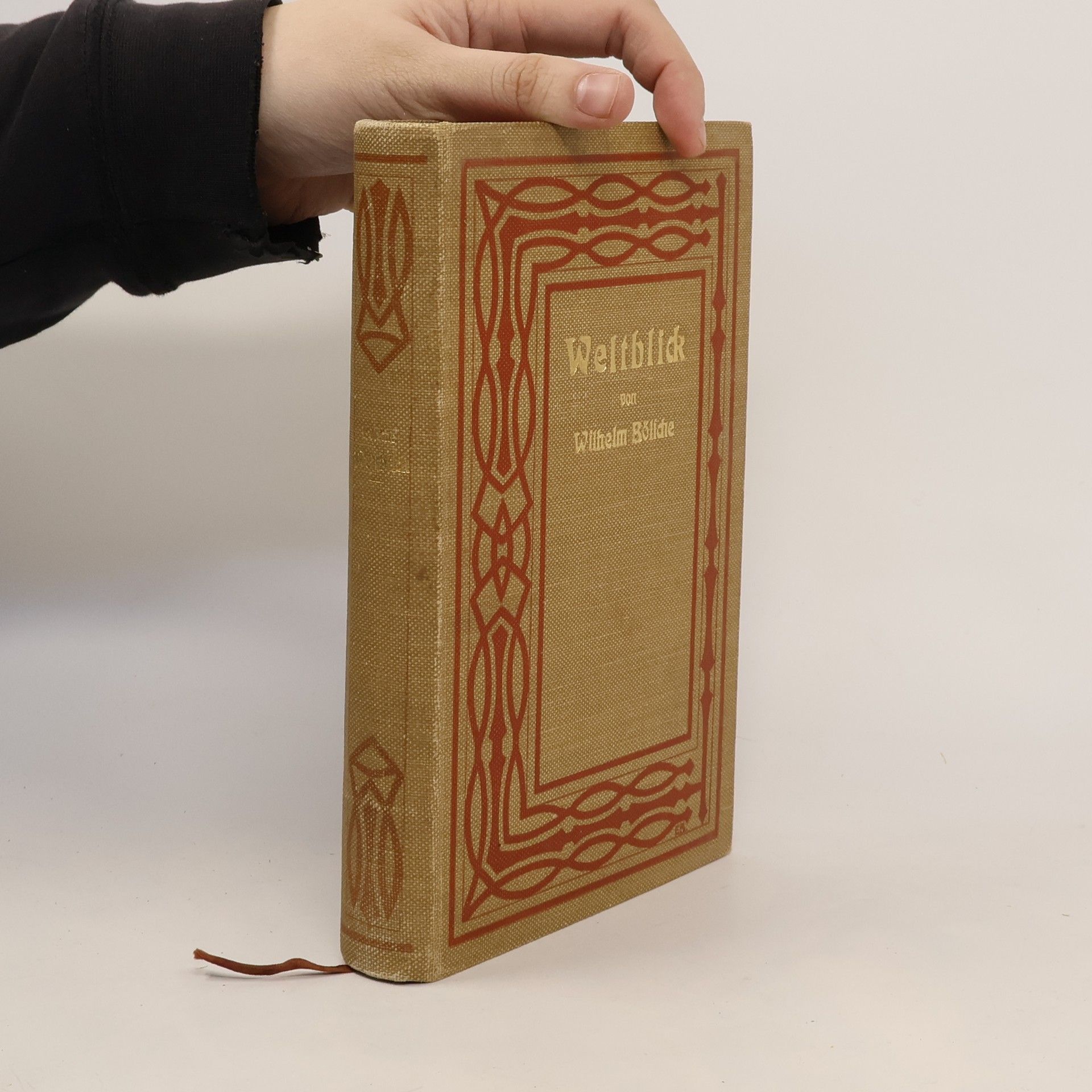 Wilhelm Bölsche Weltblick