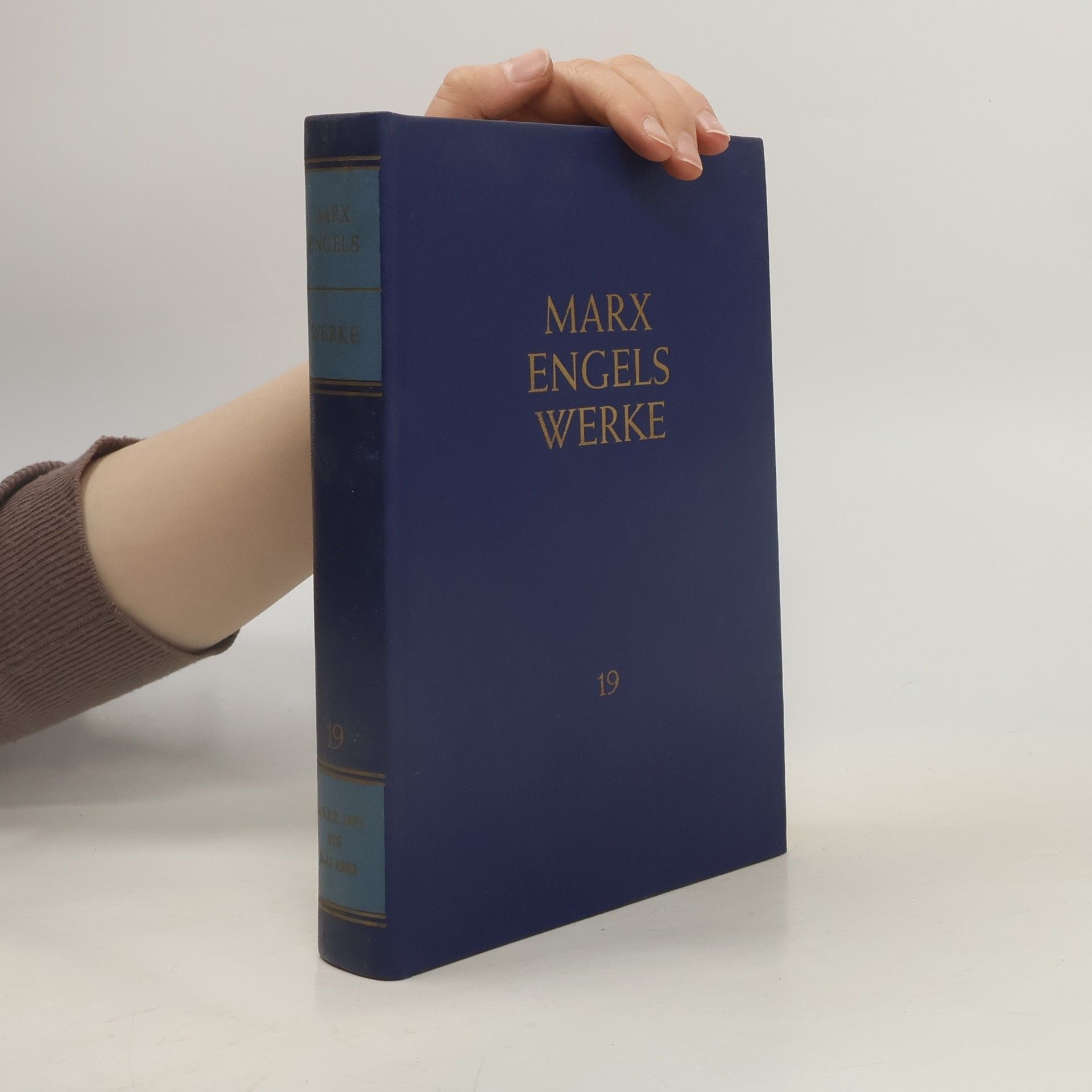 Friedrich Engels Werke 19