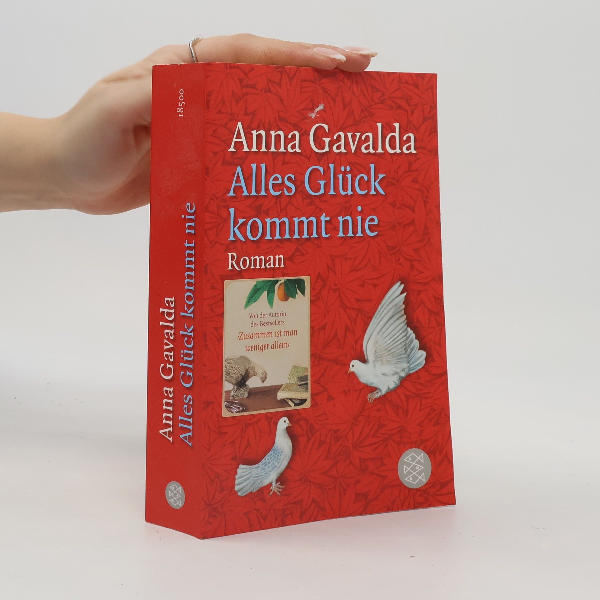 Anna Gavalda Alles Glück kommt nie