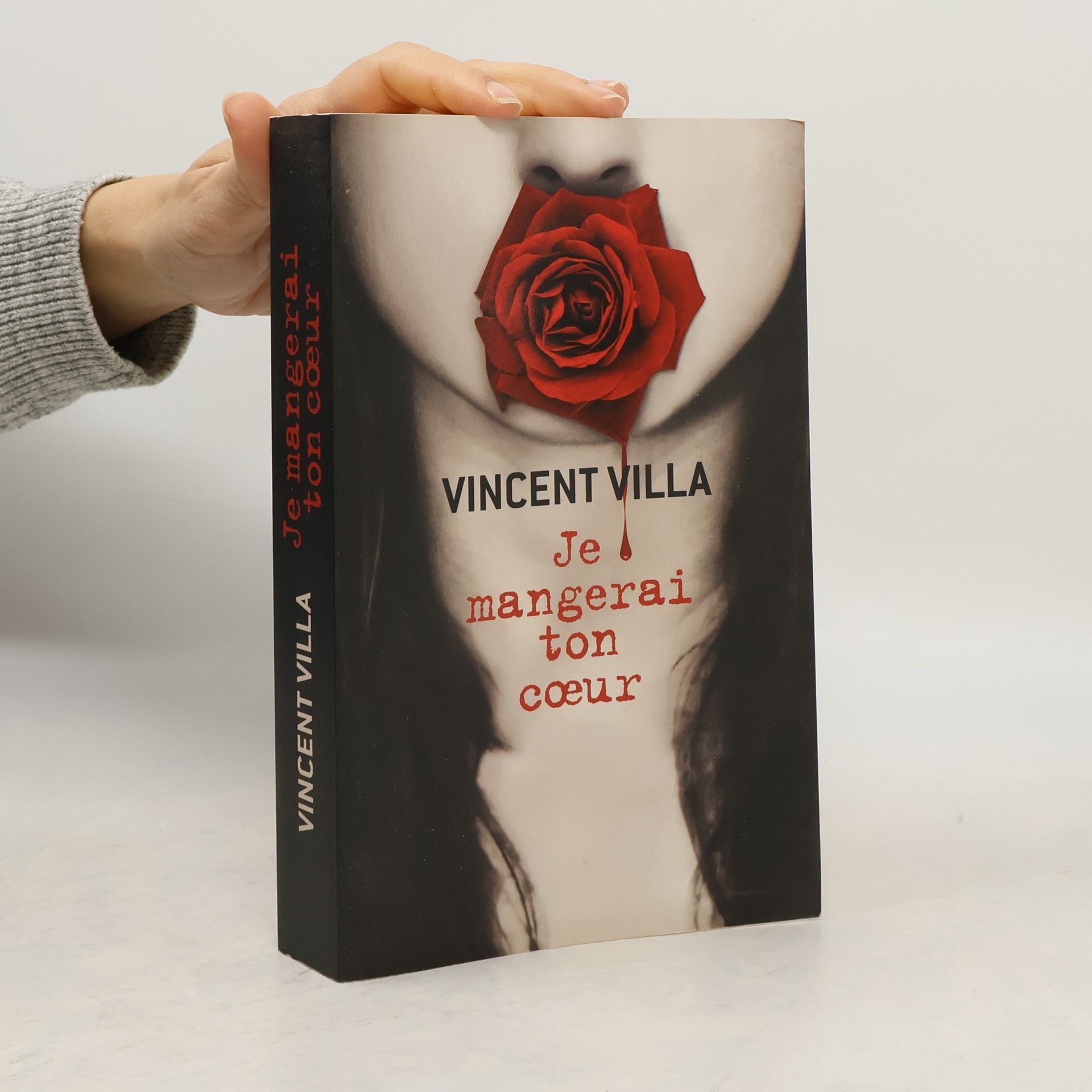 Vincent Villa Je mangerai ton coeur