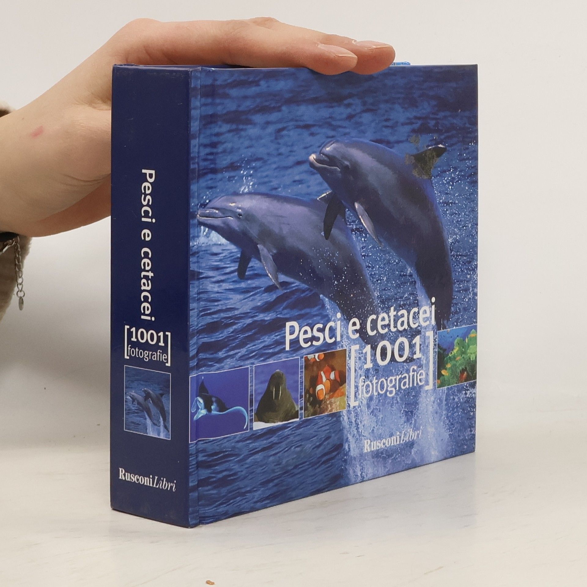 Autorenkollektiv Pesci e cetacei. 1001 fotografie