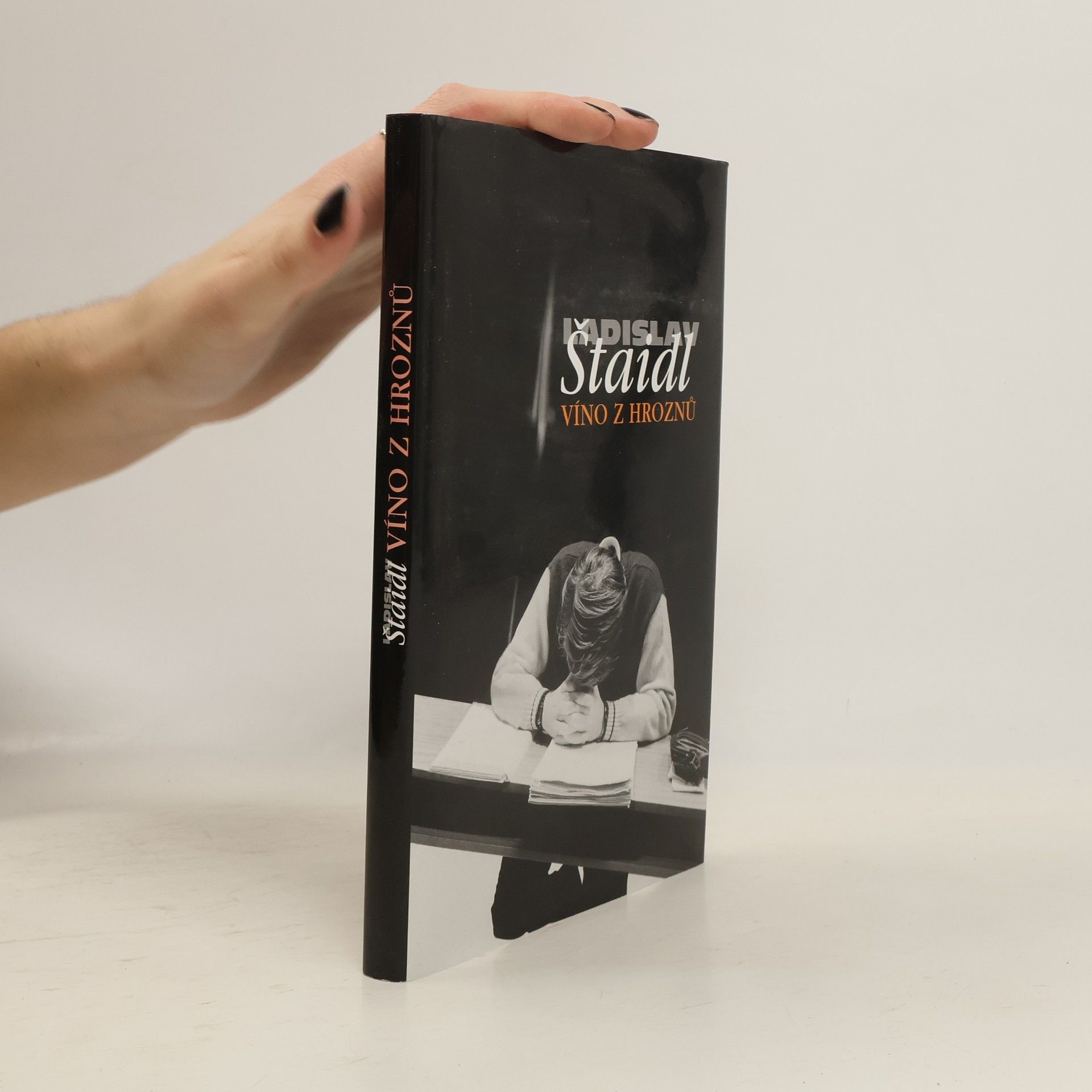 Ladislav Štaidl Víno z hroznů