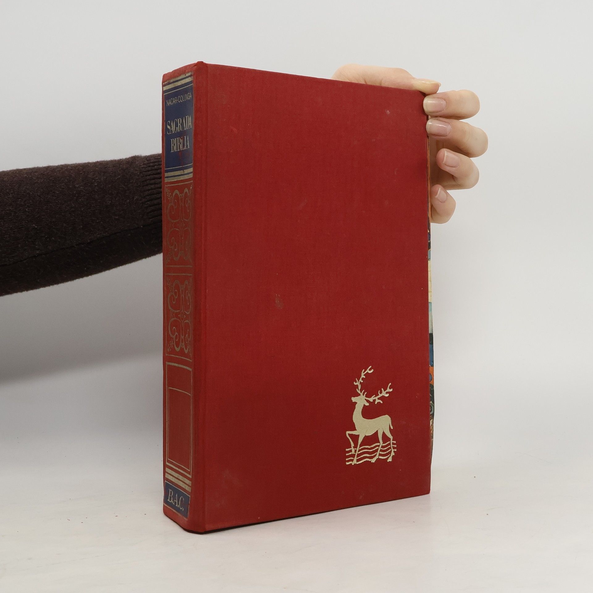 Autorenkollektiv Sagrada Biblia