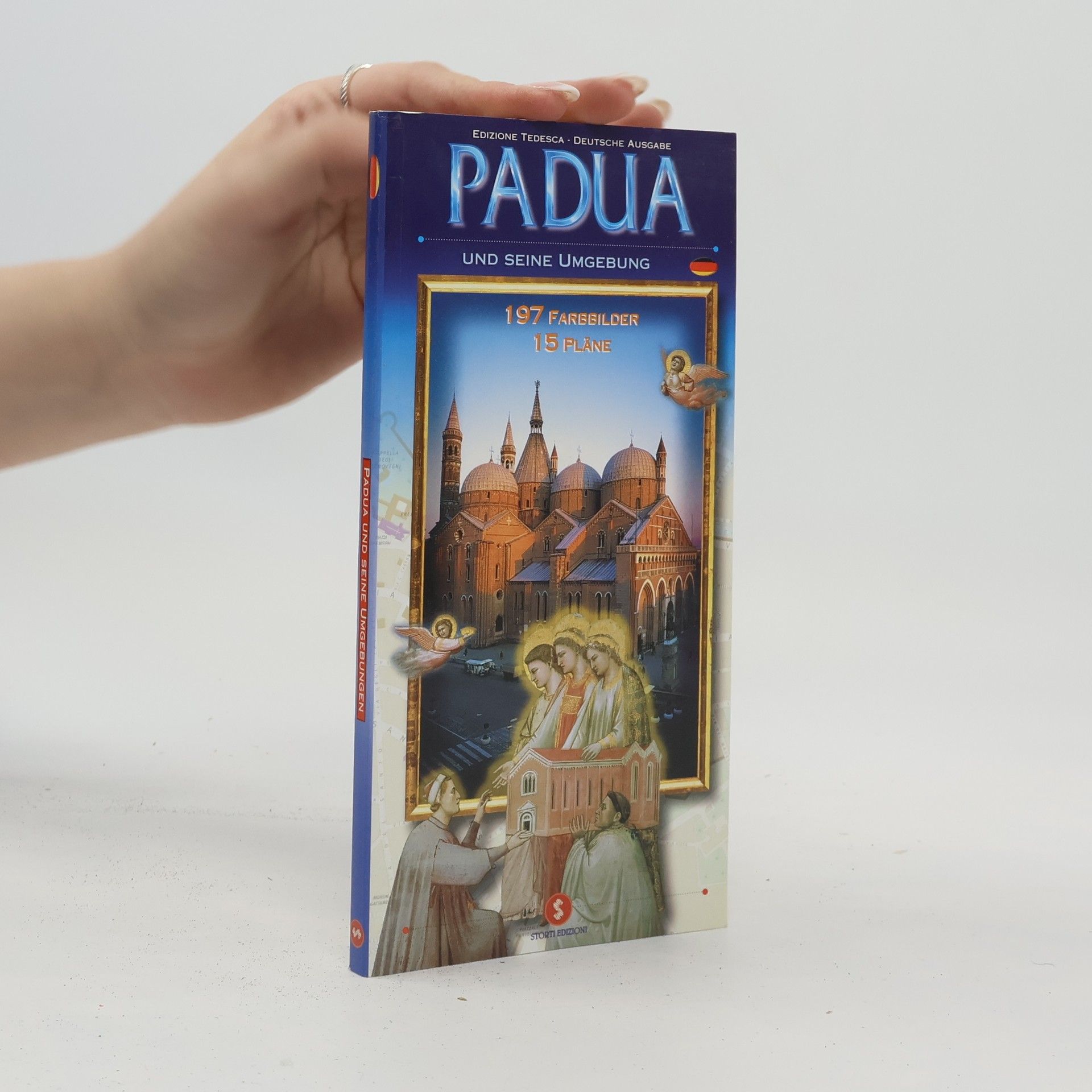 Kolektiv autorů Padua und seine Umgebung