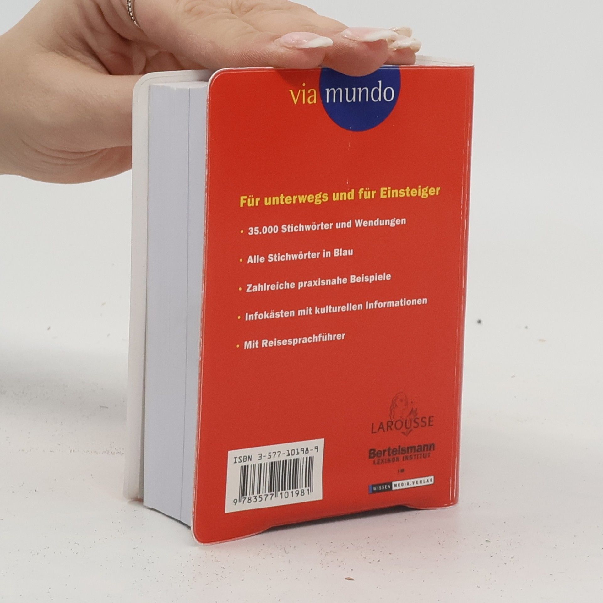 Ralf Brockmeier Basiswörterbuch italienisch-deutsch, deutsch-italienisch