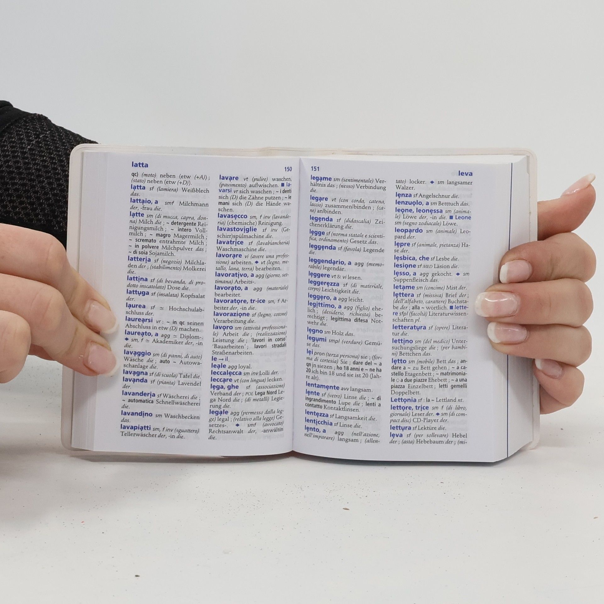 Ralf Brockmeier Basiswörterbuch italienisch-deutsch, deutsch-italienisch