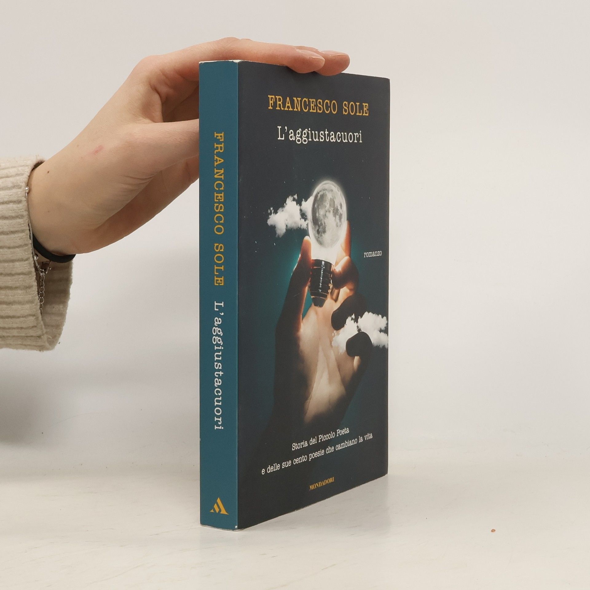 Francesco Sole L'aggiustacuori