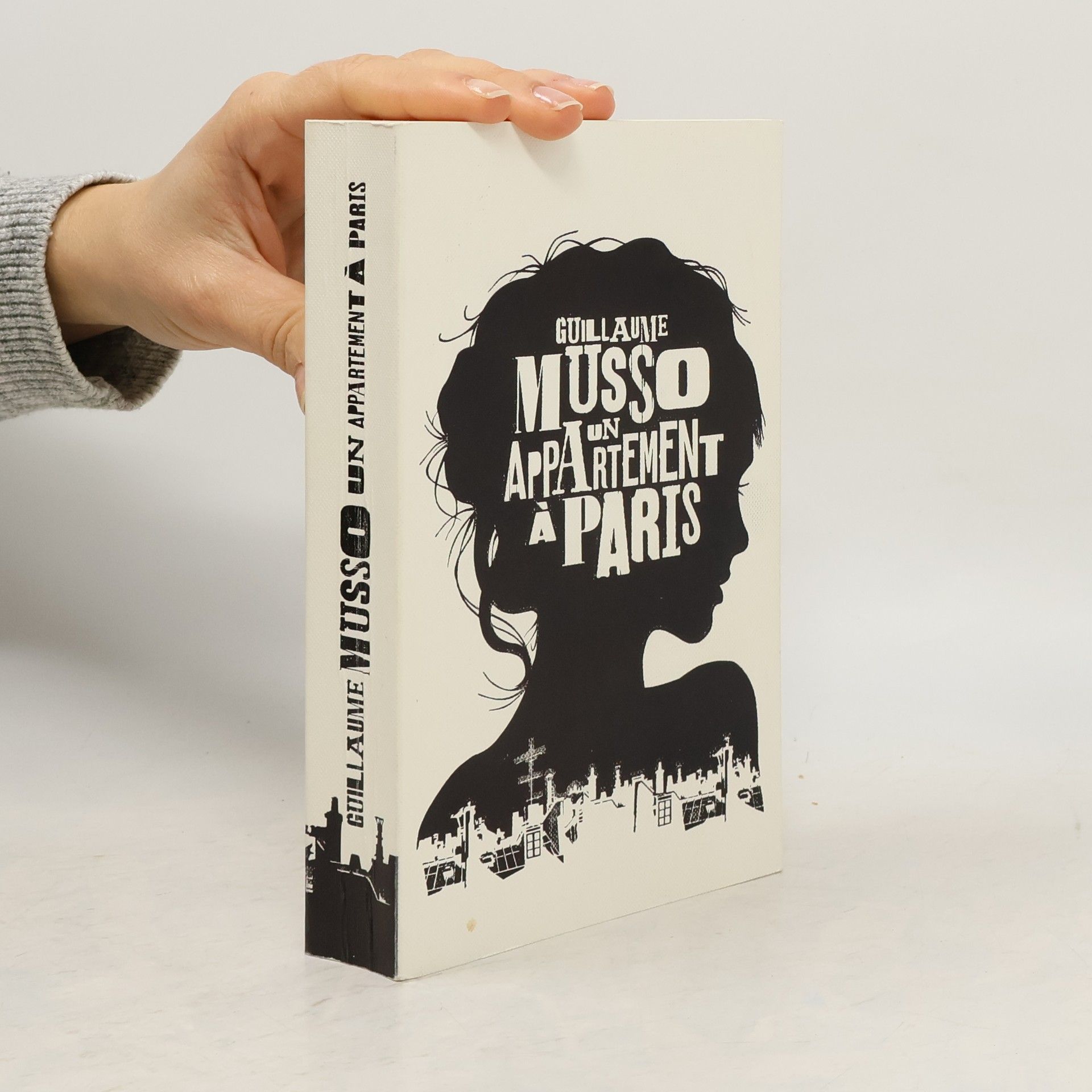 Guillaume Musso Un appartement à Paris