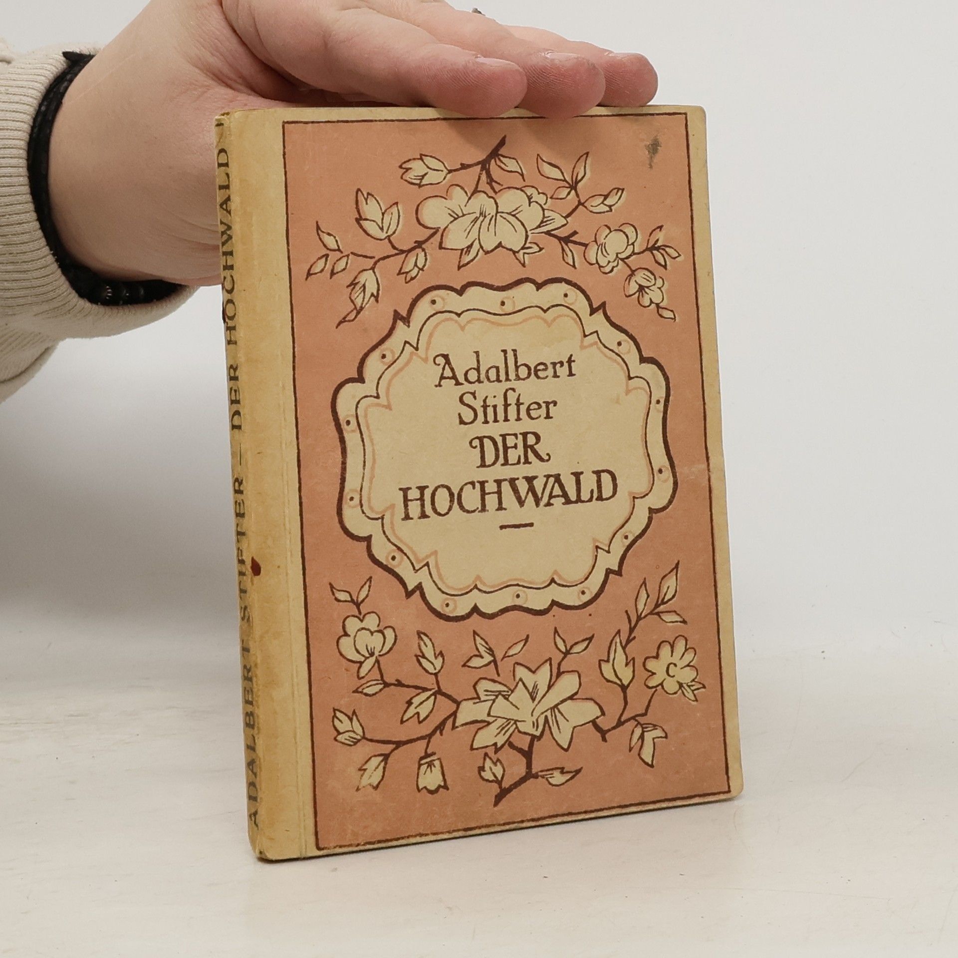 Adalbert Stifter Der Hochwald. Brigitta