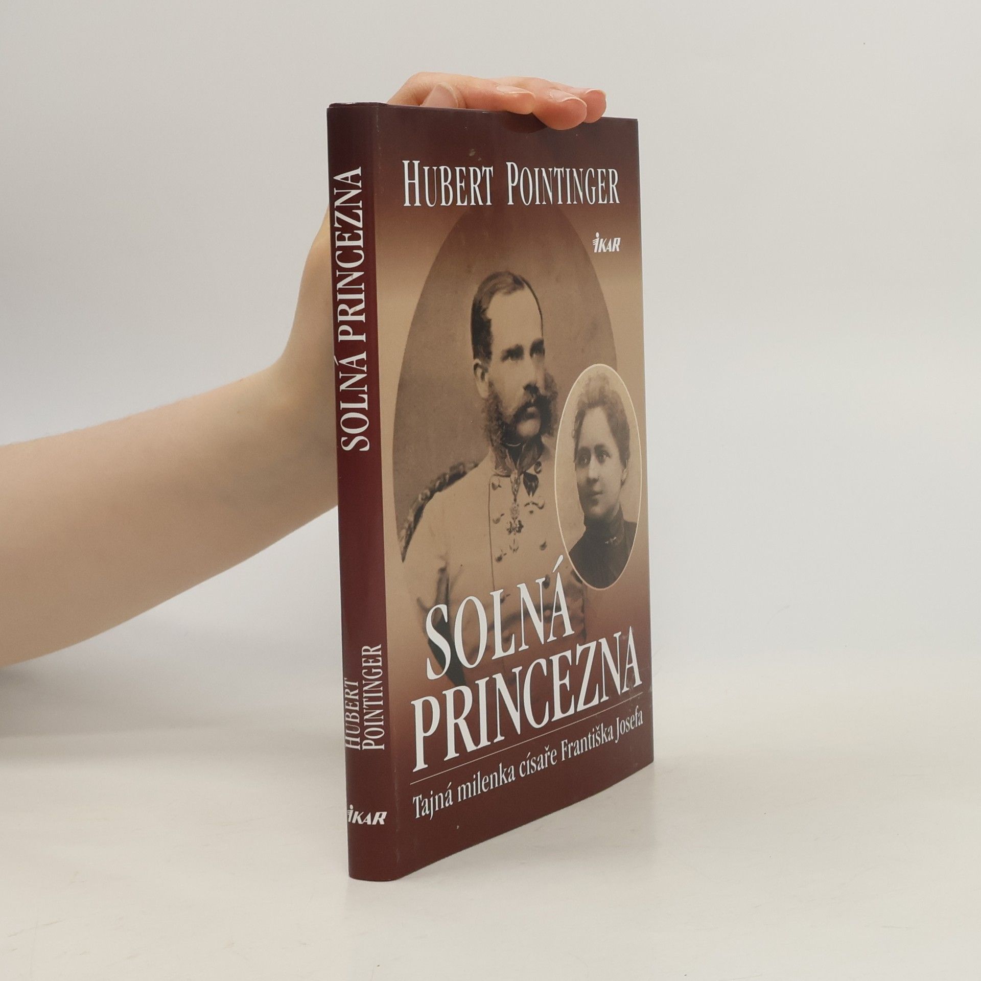 Hubert Pointinger Solná princezna