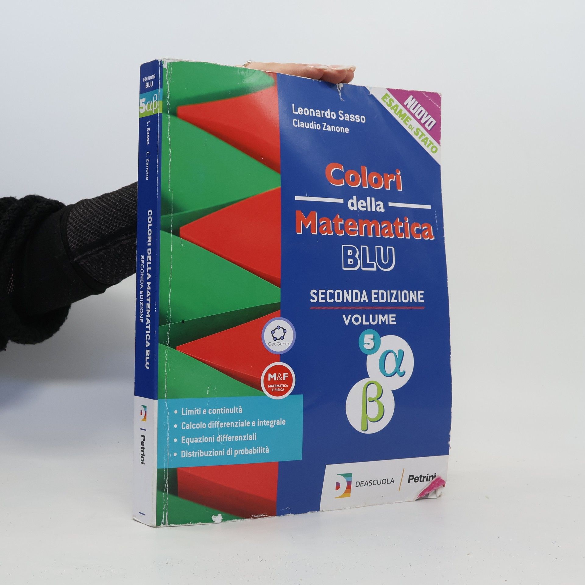 Leonardo Sasso Colori della matematica