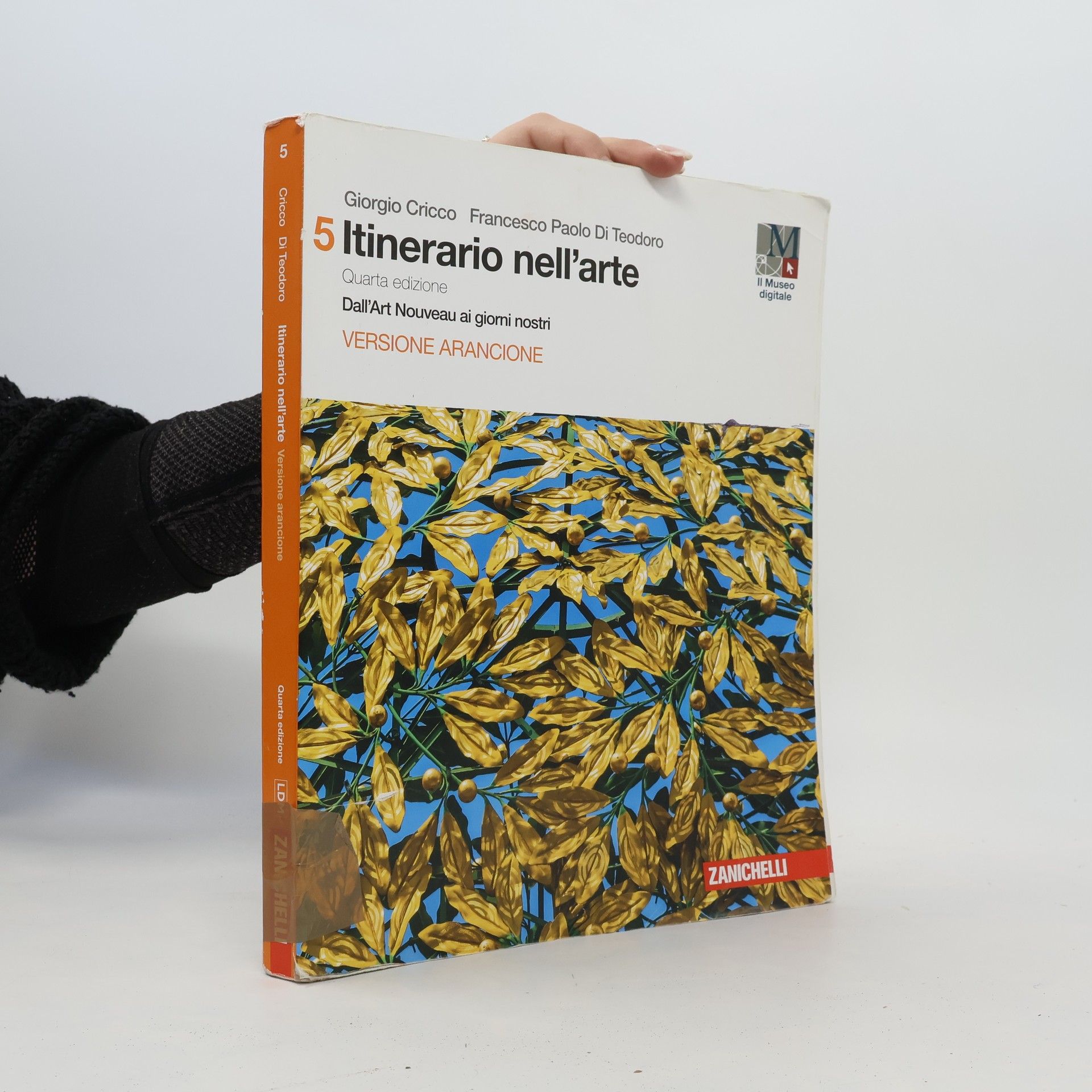 Giorgio Cricco Itinerario nell'arte