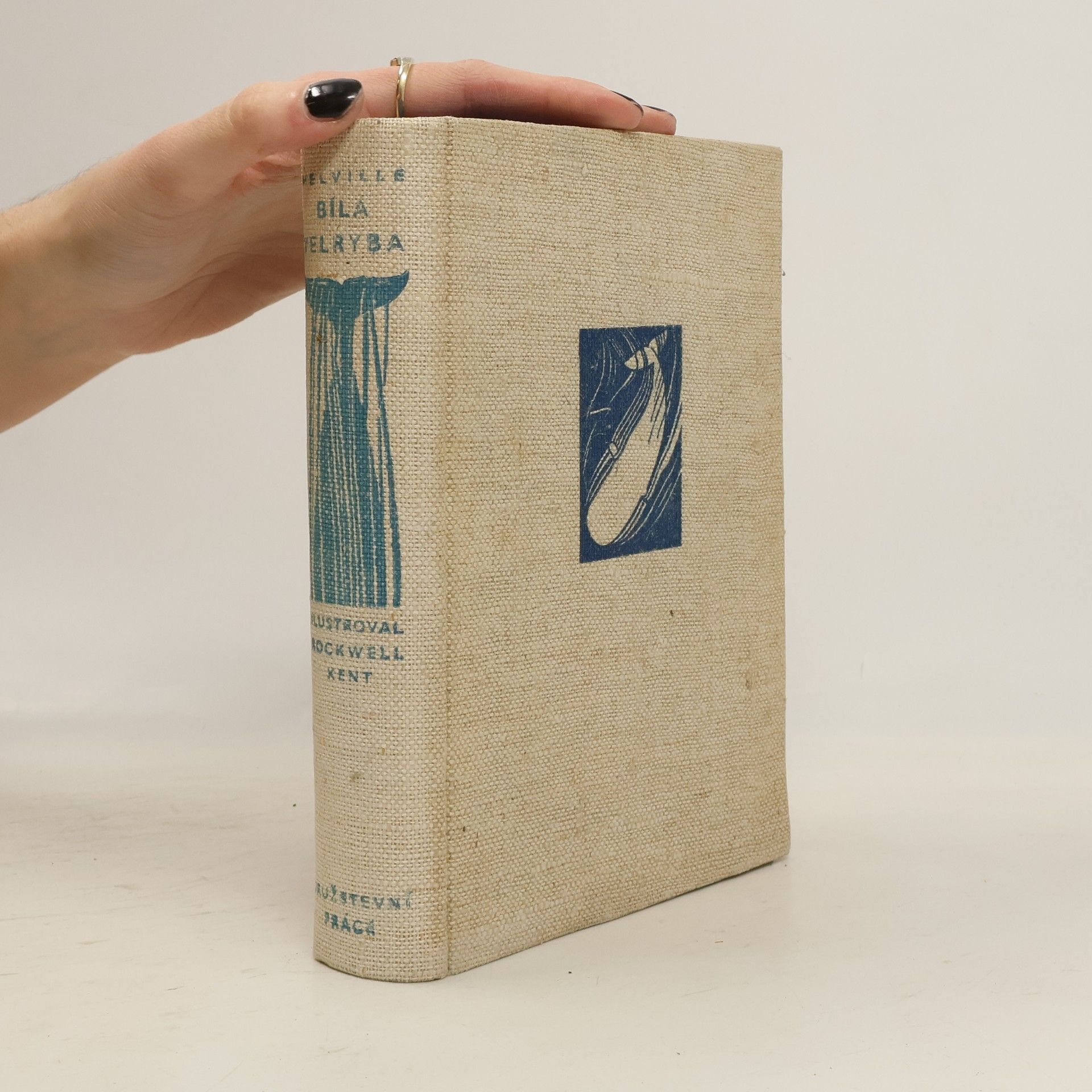 Herman Melville Bílá velryba