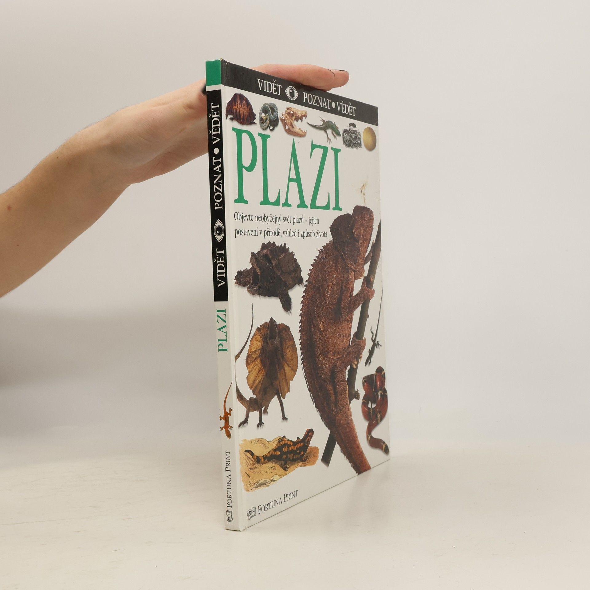 Colin McCarthy Plazi