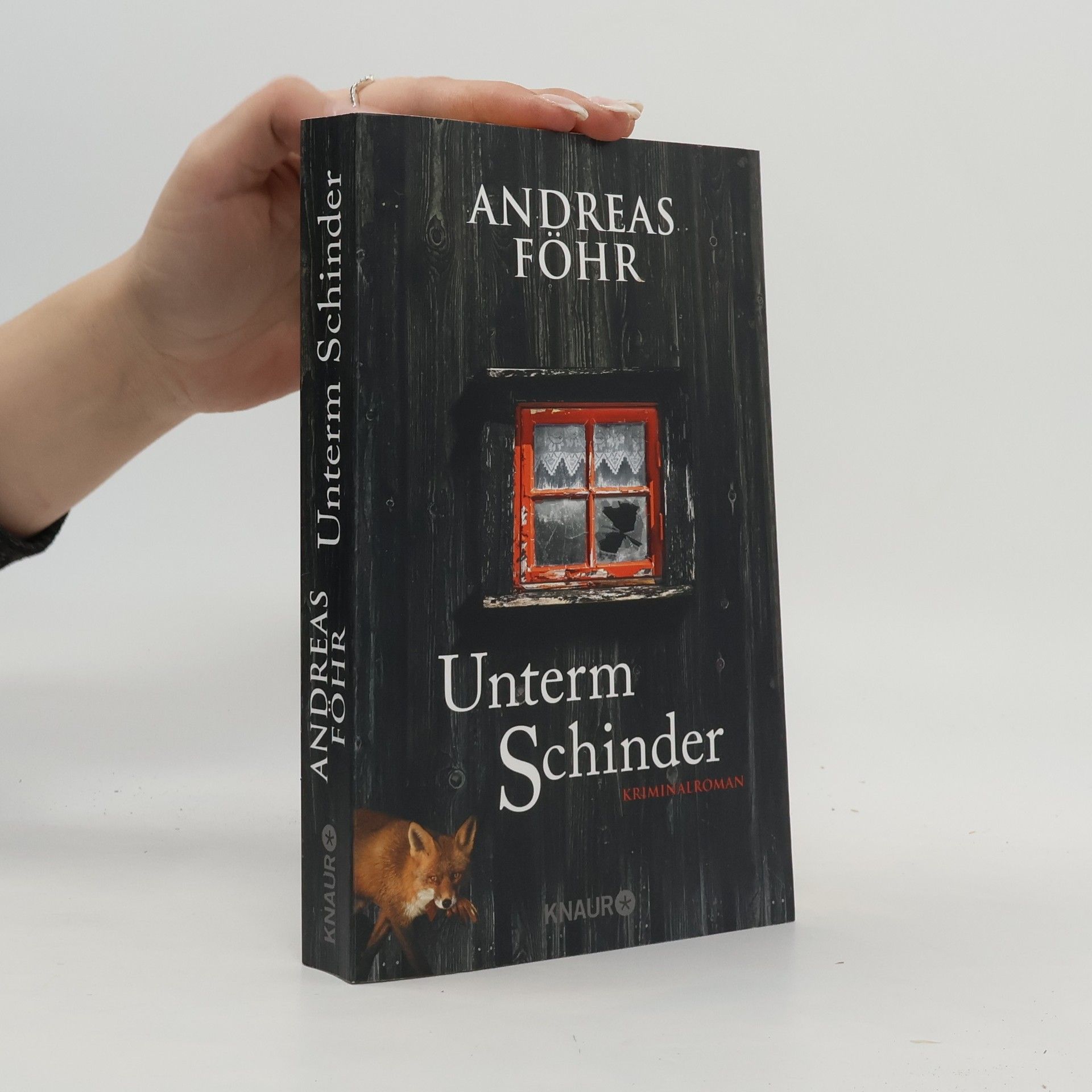 Andreas Föhr Unterm Schinder