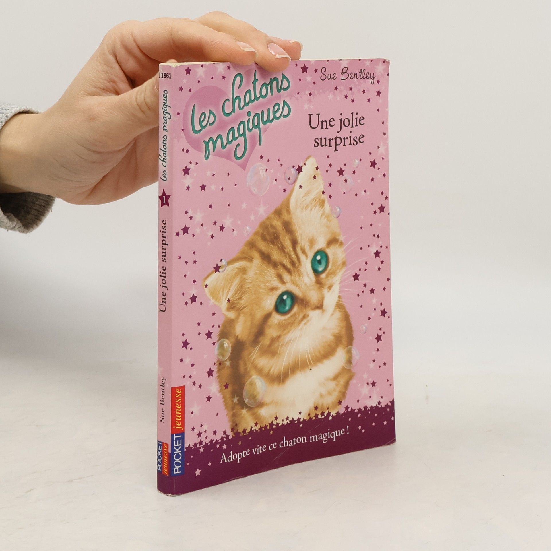 Sue Bentley Les chatons magiques: Une jolie surprise