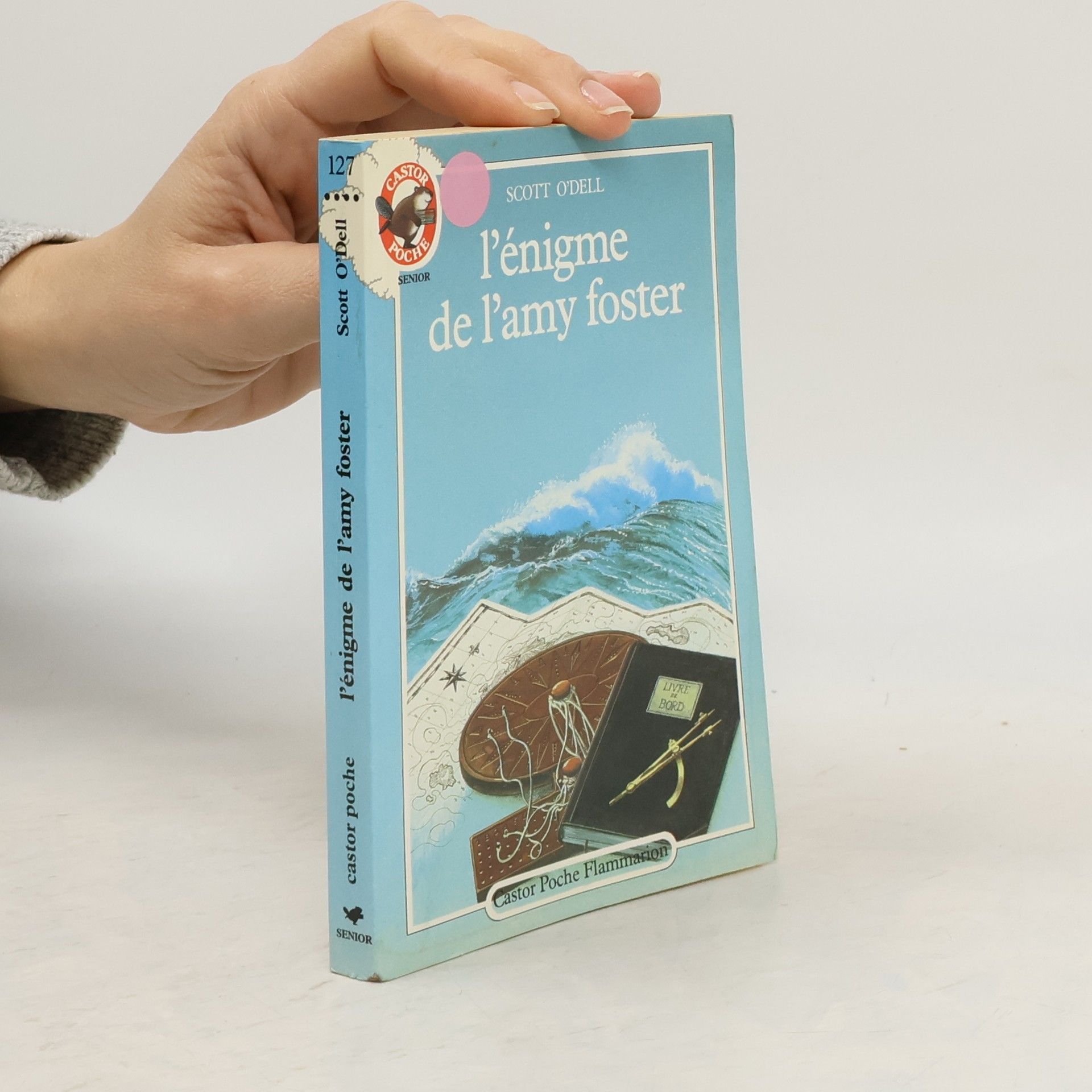 Scott O. Dell L'énigme de l'Amy Foster