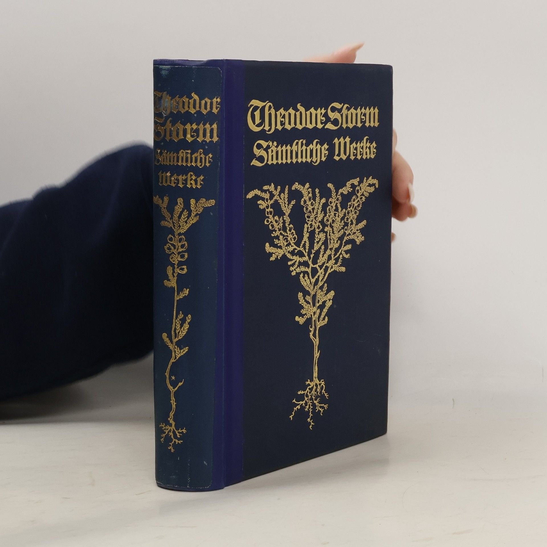 Theodor Storm Sämmtliche Werke