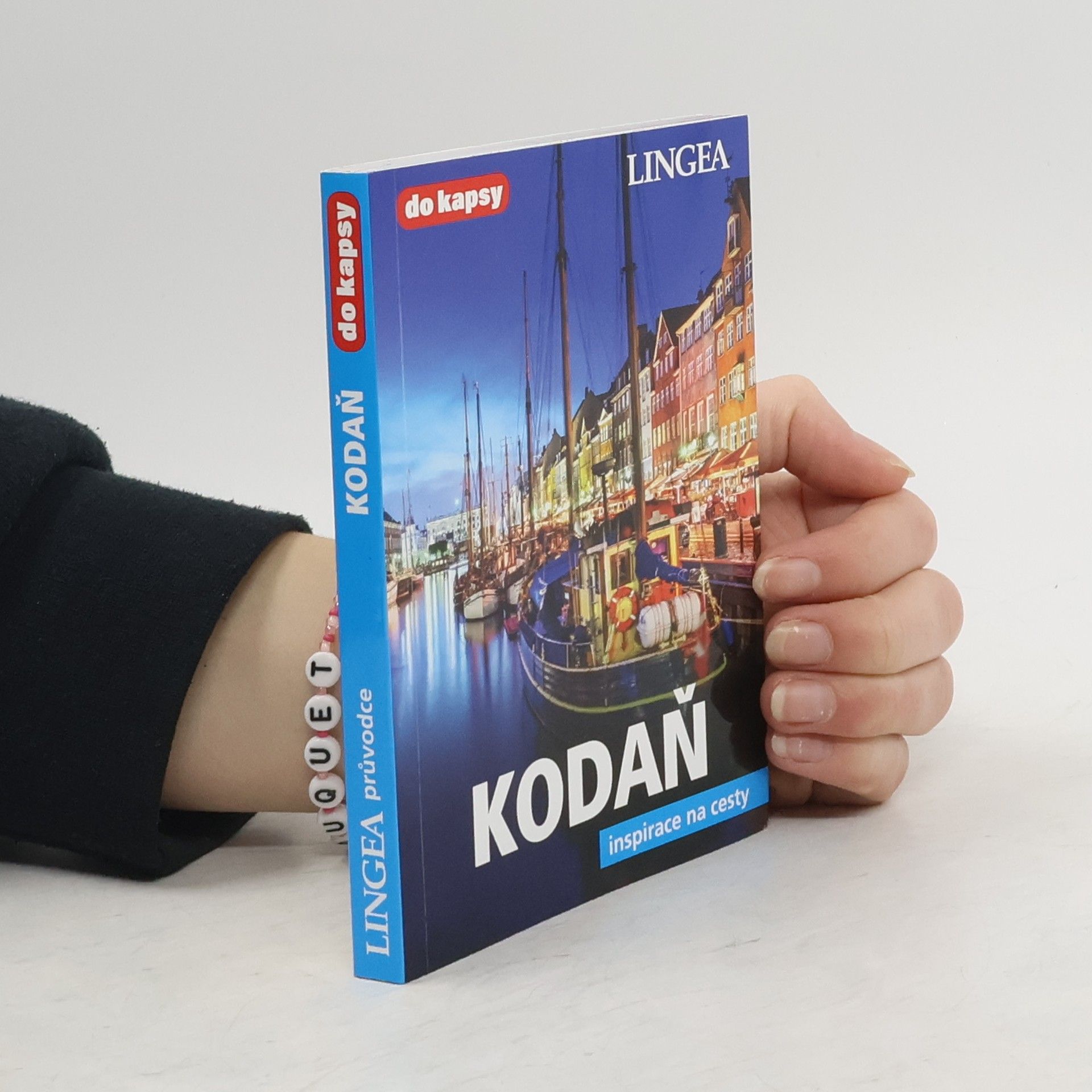 Kolektiv autorů Kodaň: inspirace na cesty