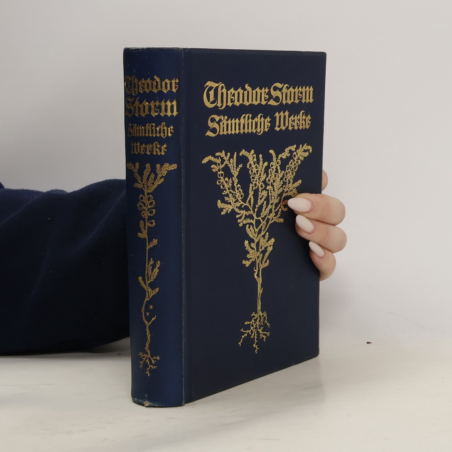 Theodor Storm Sämmtliche Werke