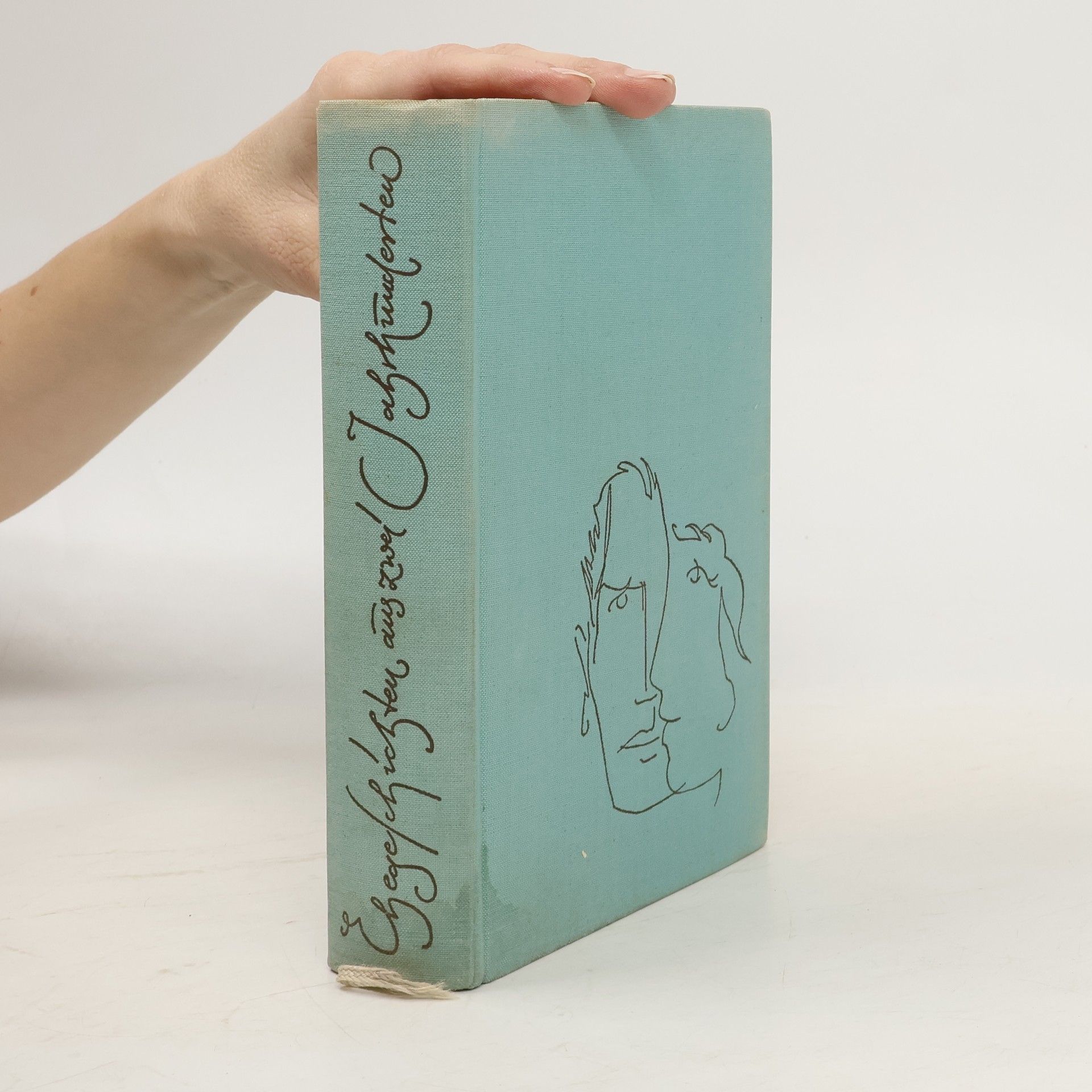 Auteurscollectief Ehegeschichten aus zwei Jahrhunderten