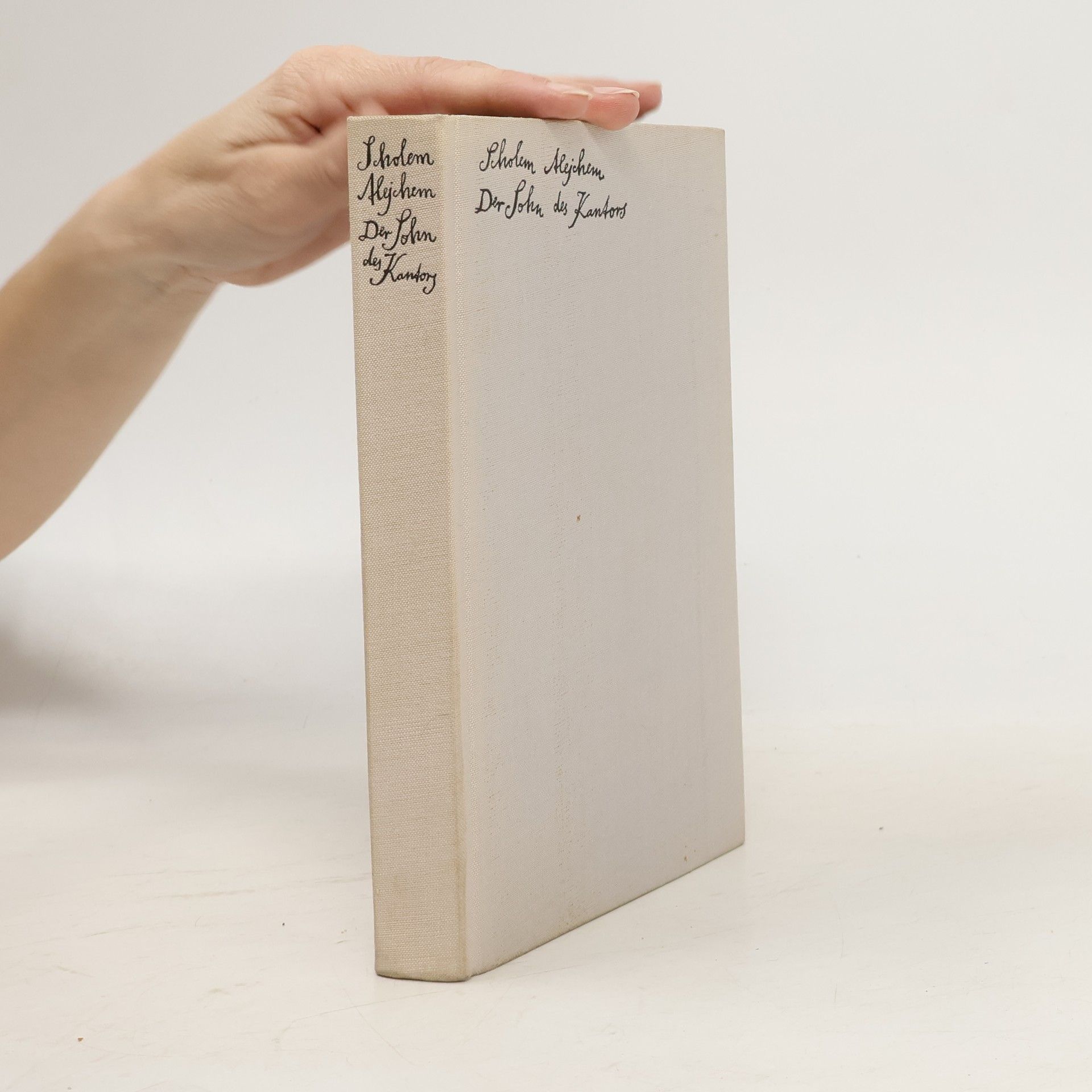 Sholem Aleichem Der Sohn des Kantors