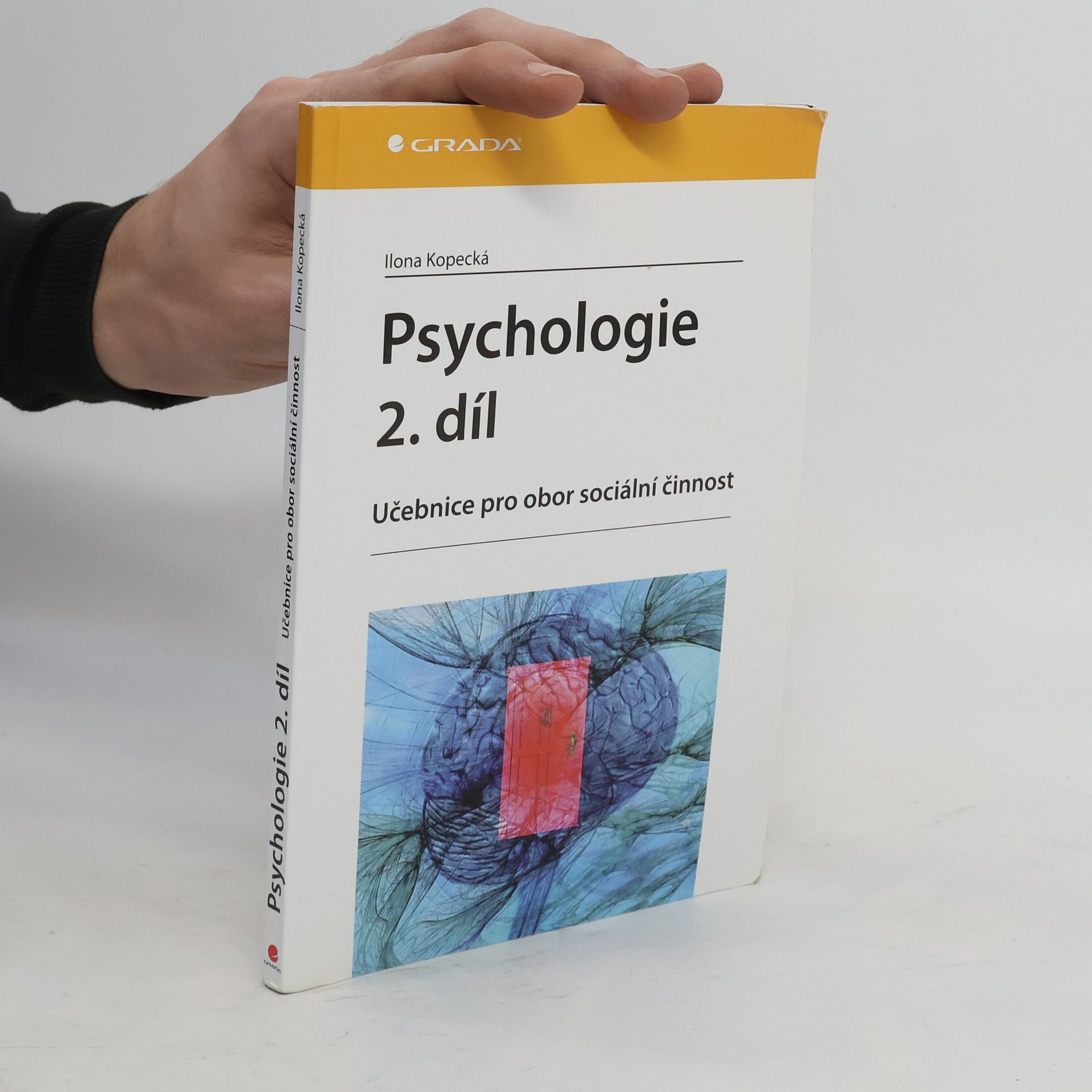Ilona Kopecká Psychologie : učebnice pro obor sociální činnost. 2. díl