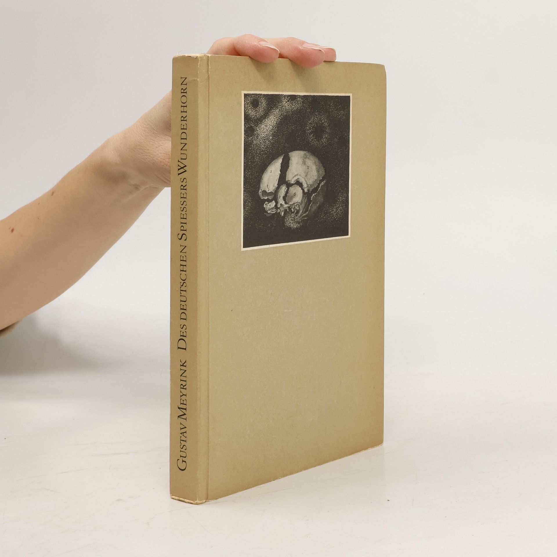 Gustav Meyrink Des Deutschen Spiessers Wunderhorn