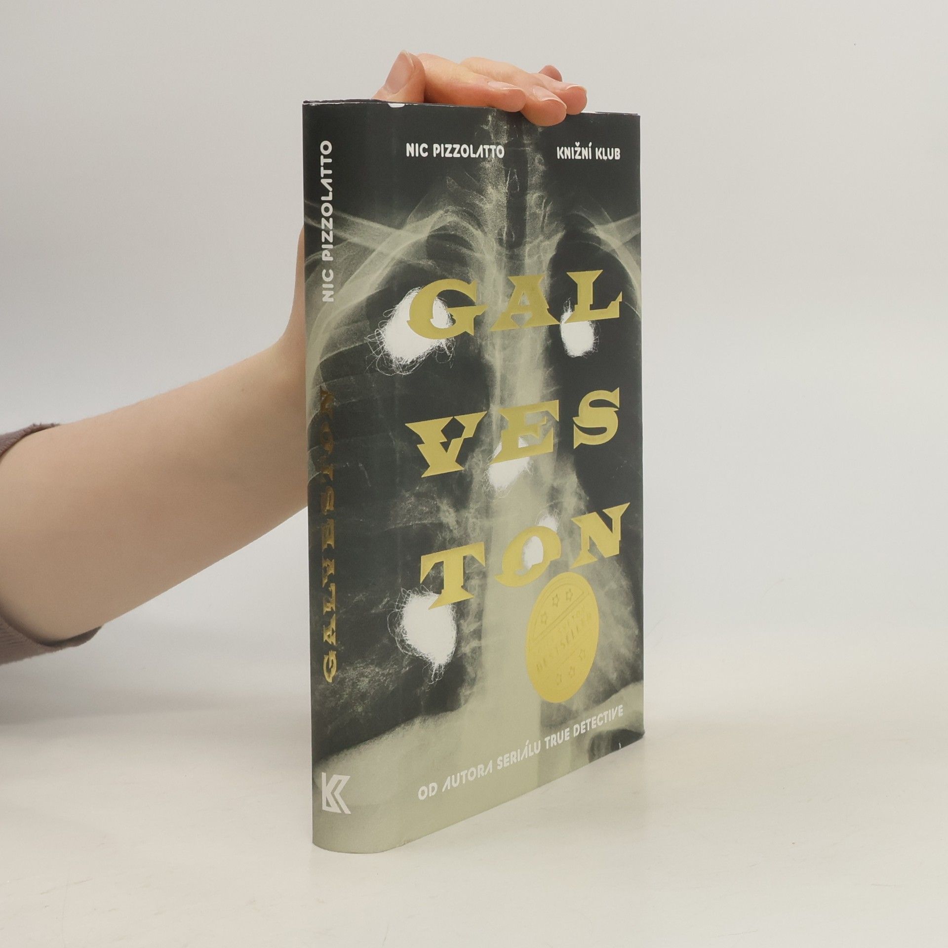 Nic Pizzolatto Galveston