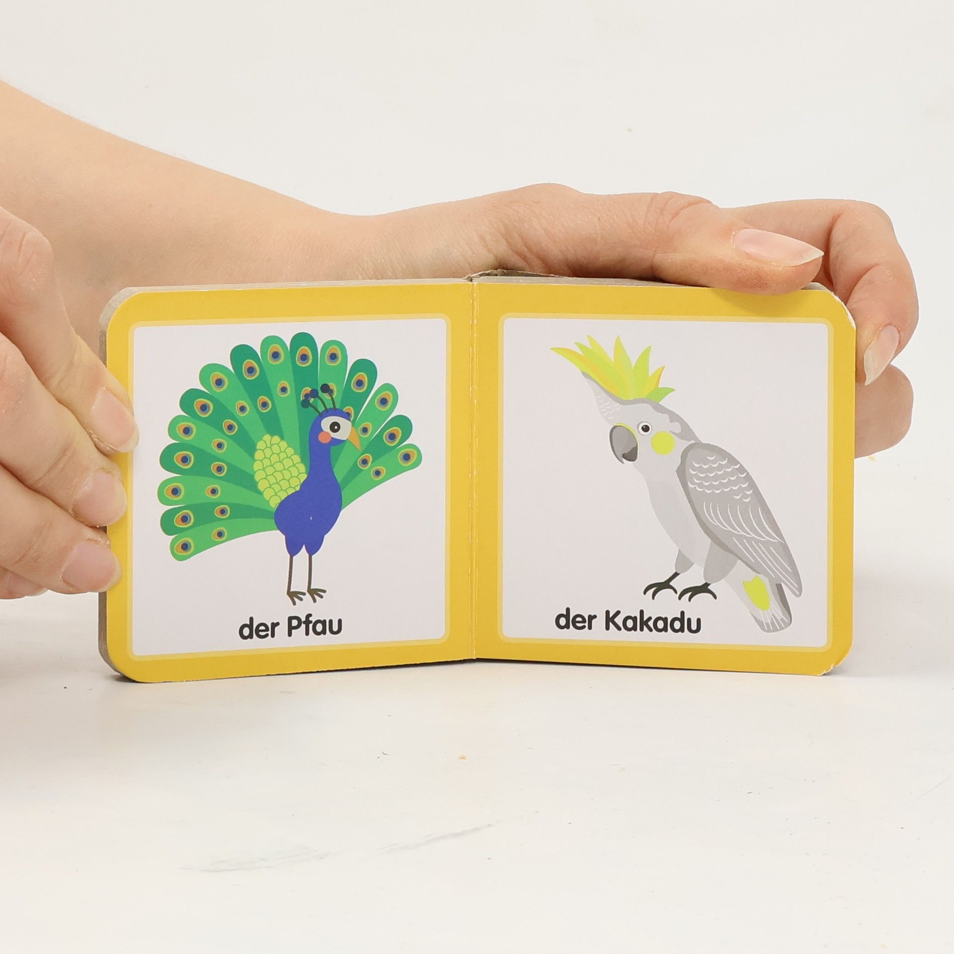 Autorenkollektiv Vögel