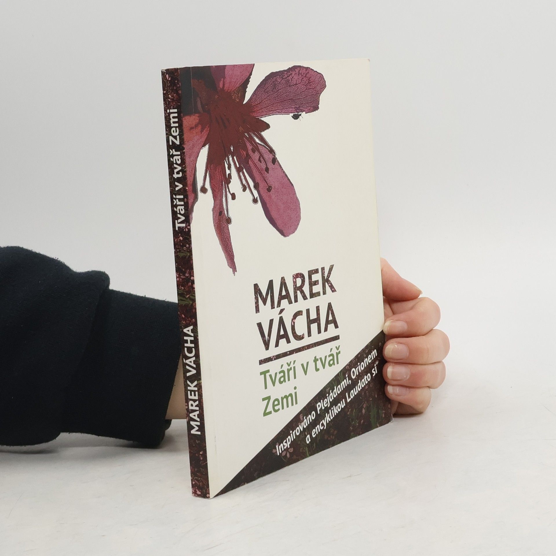 Marek Vácha Tváří v tvář Zemi