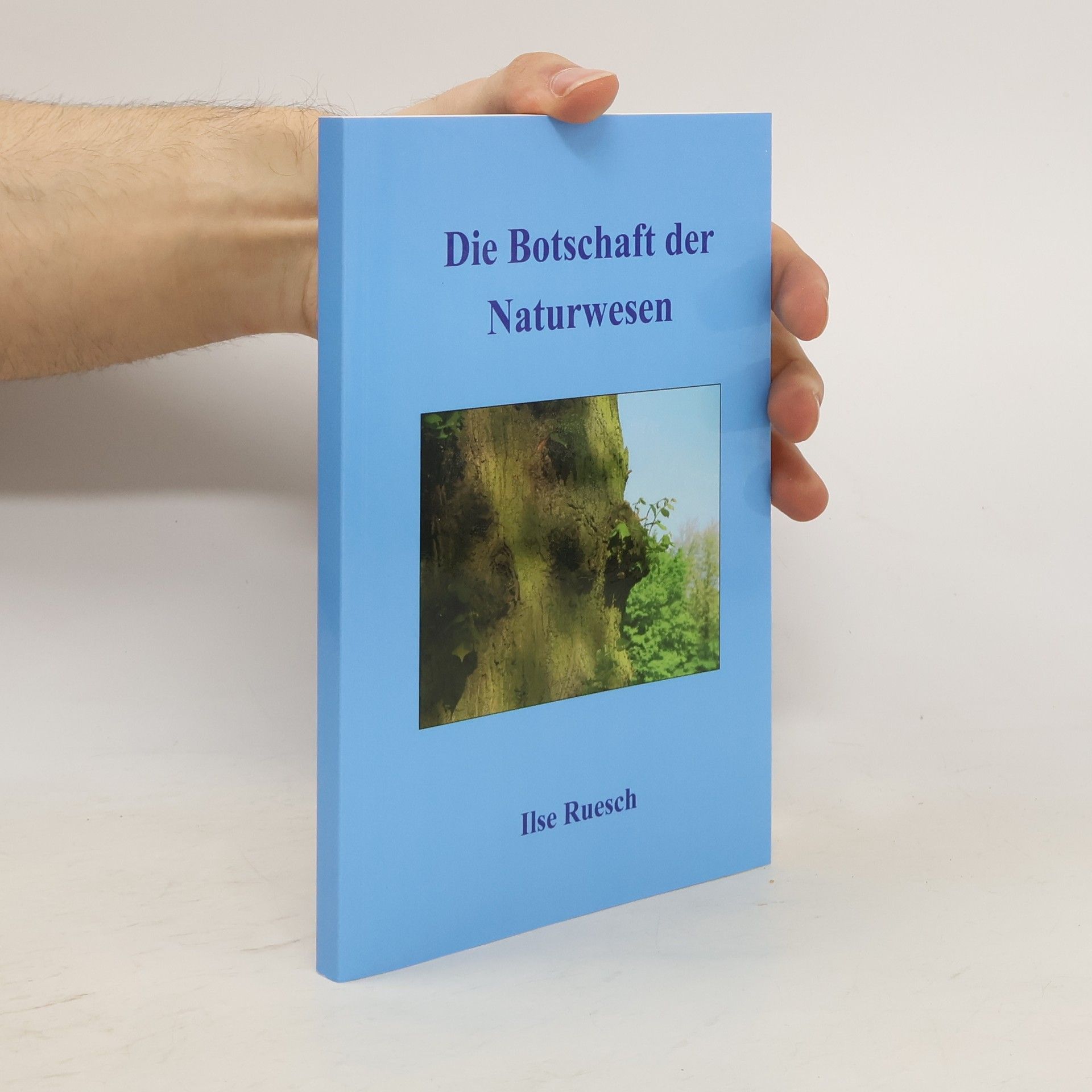 Ilse Ruesch Die Botschaft der Naturwesen