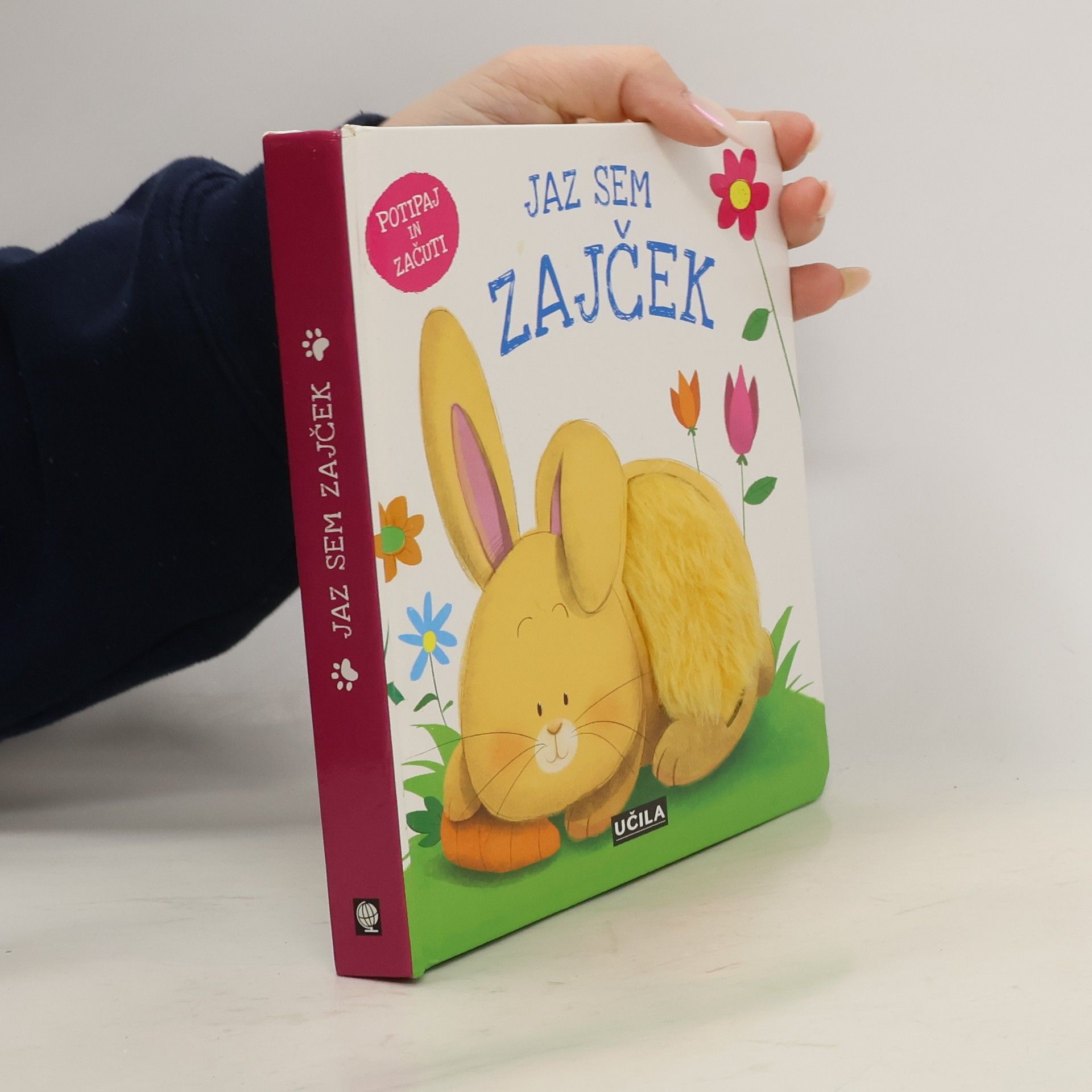 Autores varios Jaz sem zajček