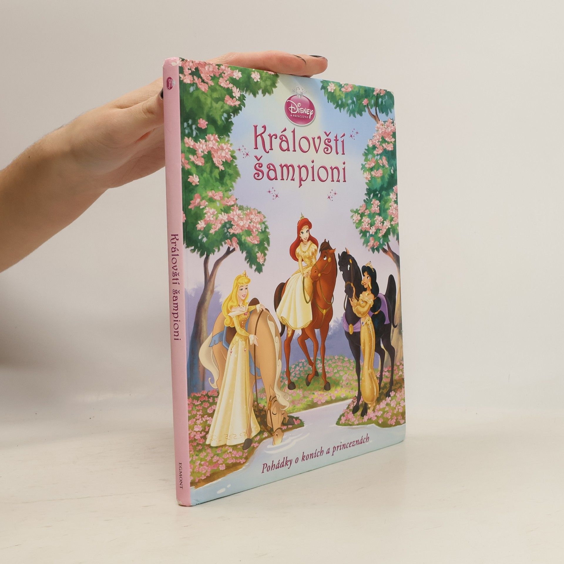 Marcela Czesaná Královští šampioni