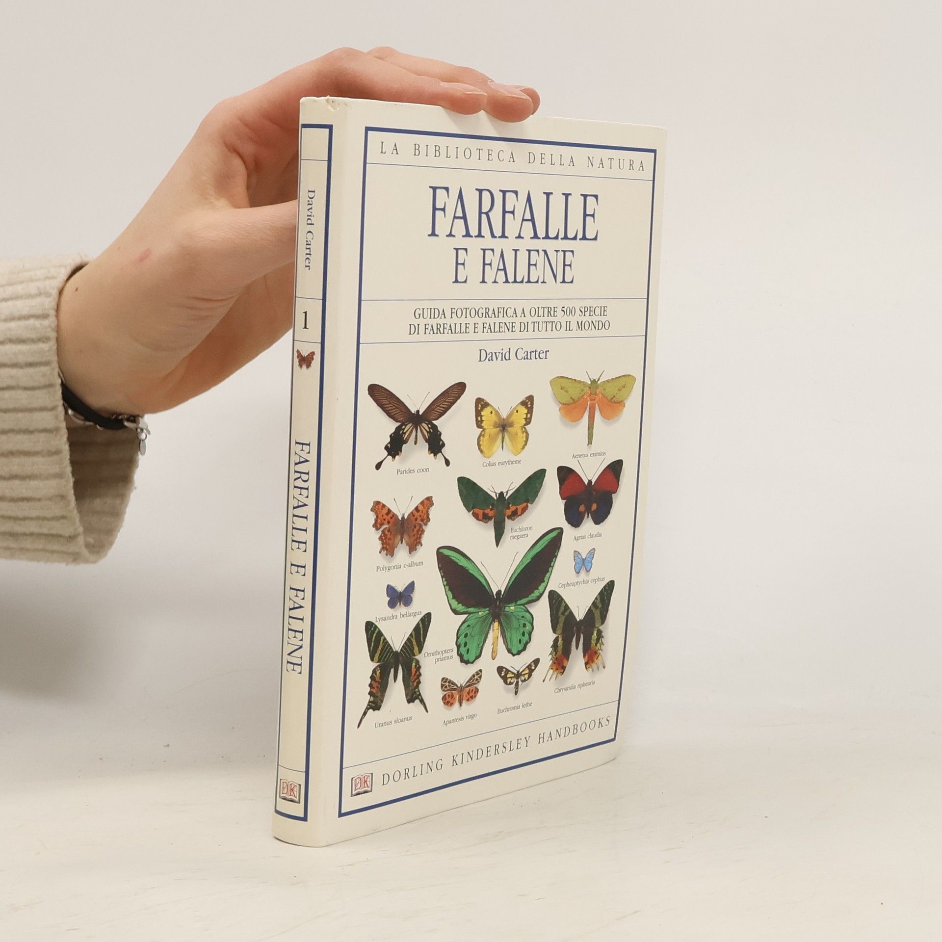 Andrea Sabbadini Farfalle e falene