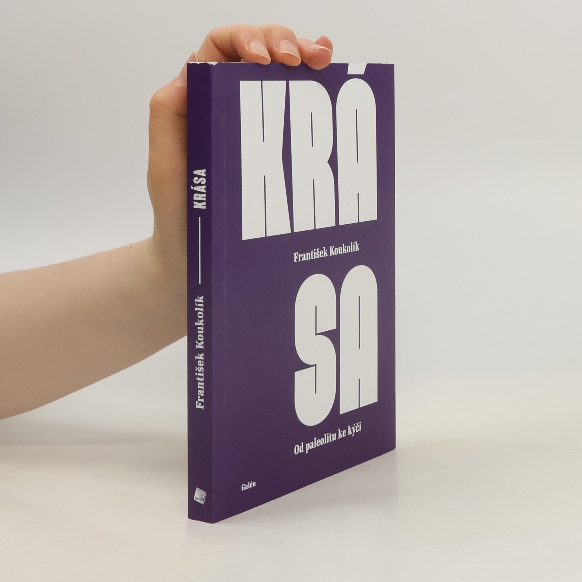 Krása: od paleolitu ke kýči