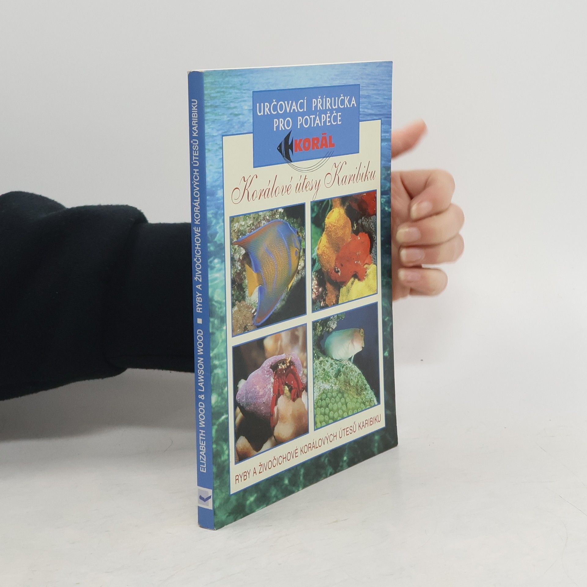 Elizabeth Wood Korálové útesy Karibiku