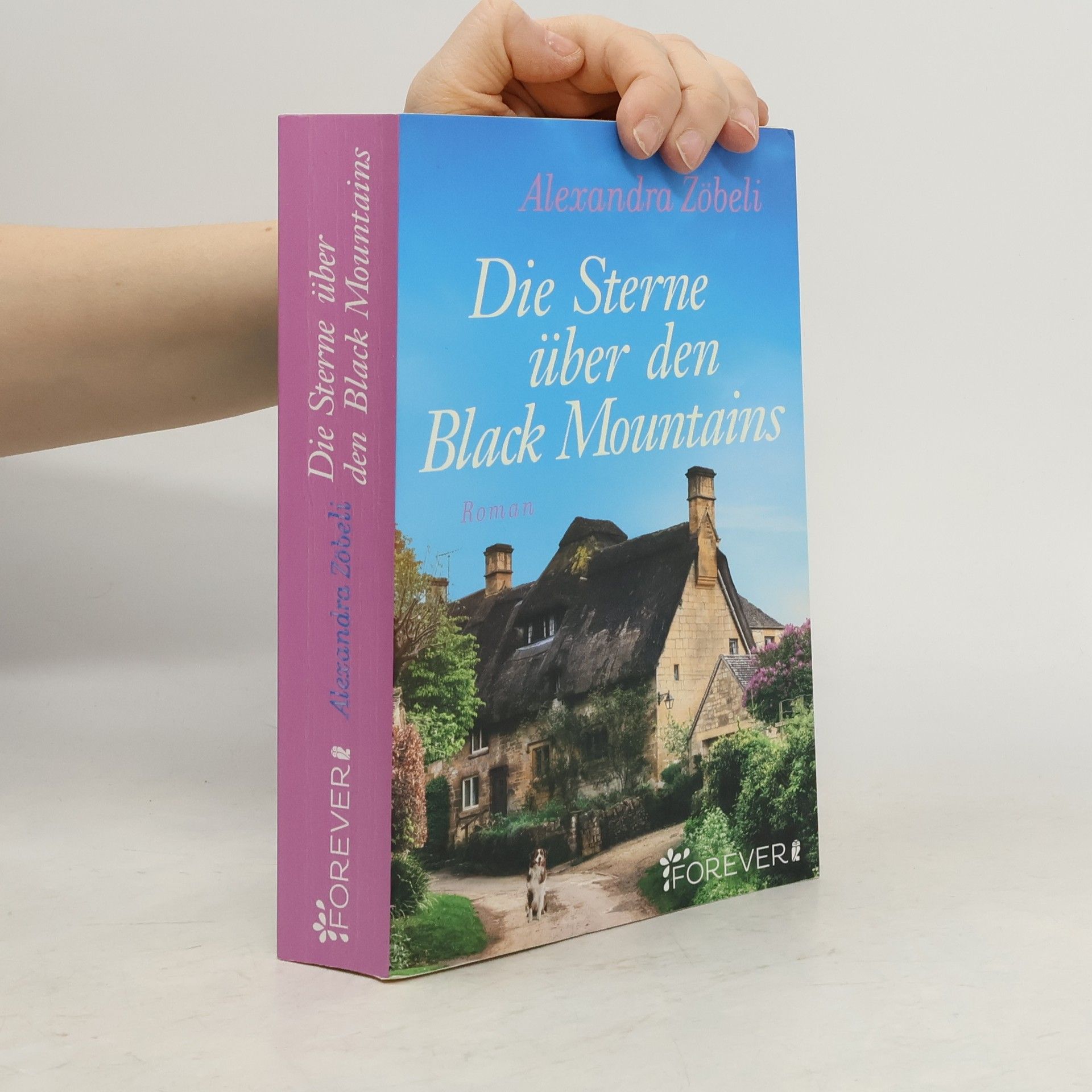 Alexandra Zöbeli Die Sterne über den Black Mountains