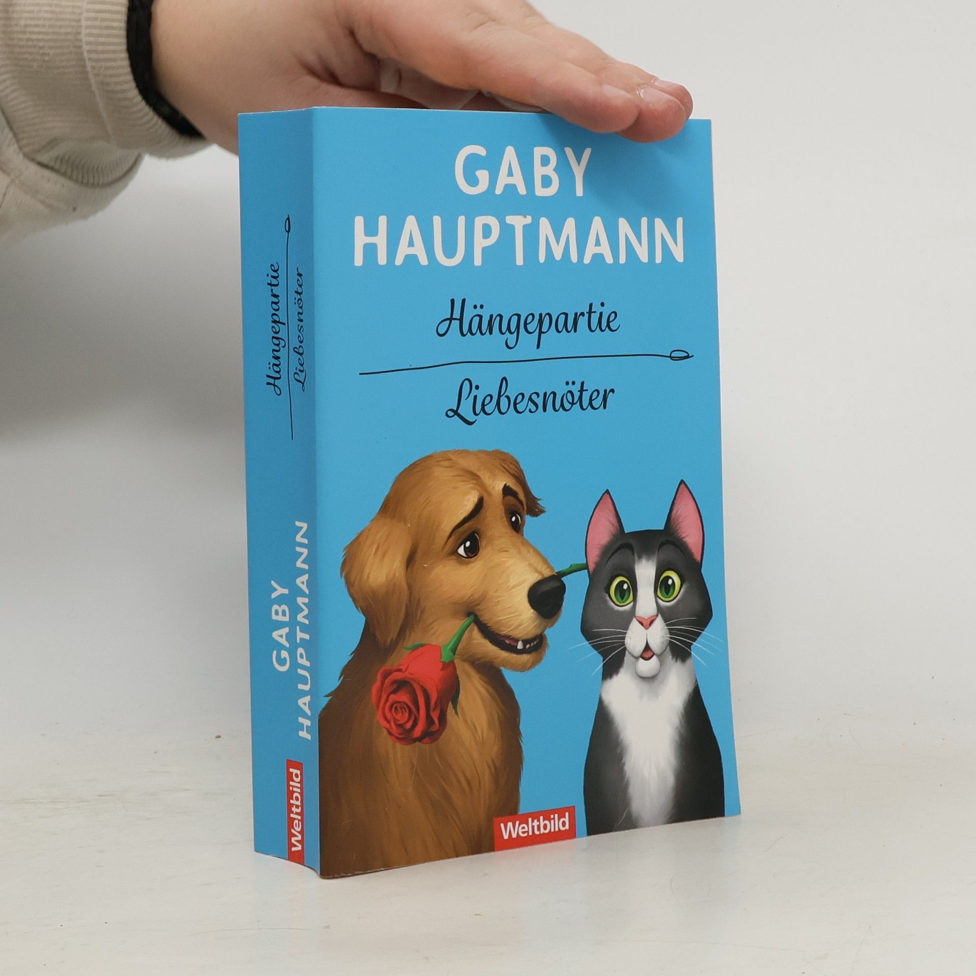Gaby Hauptmann Hängepartie. Liebesnöter