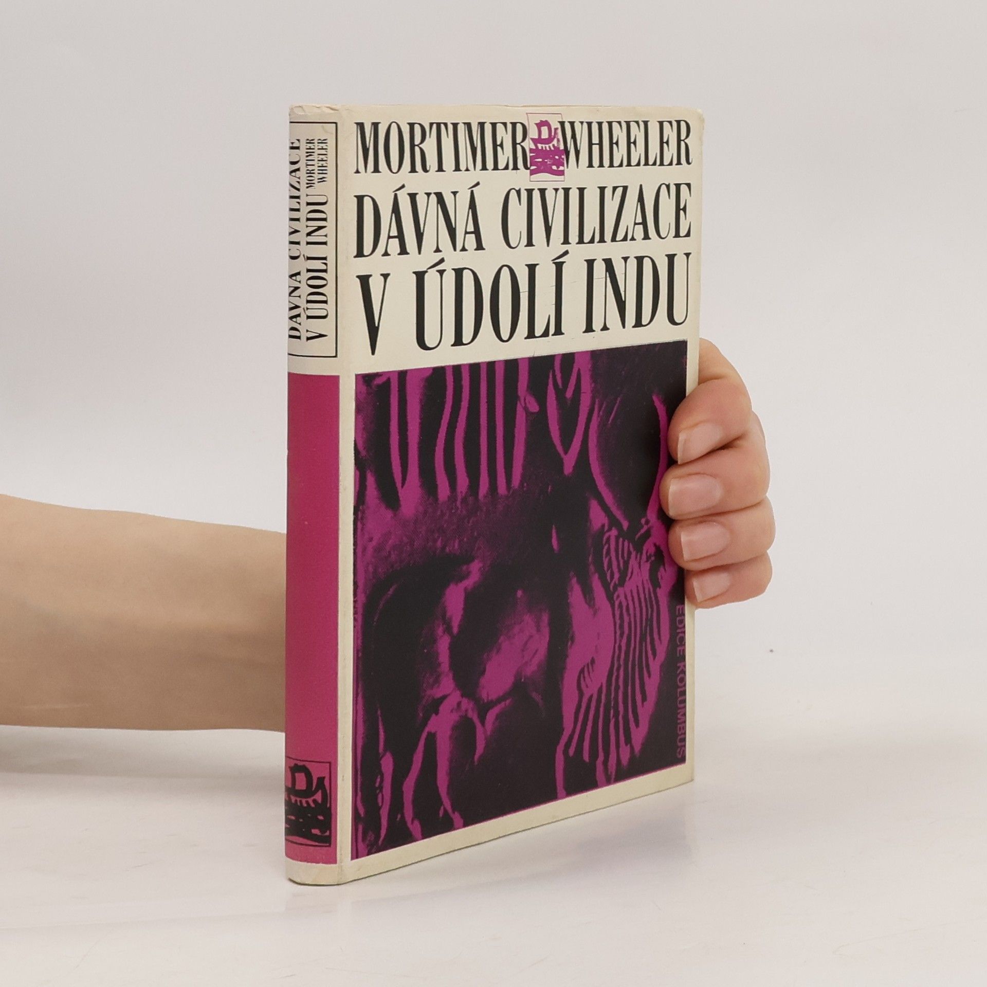 Jaroslav Vacek Dávná civilizace v údolí Indu