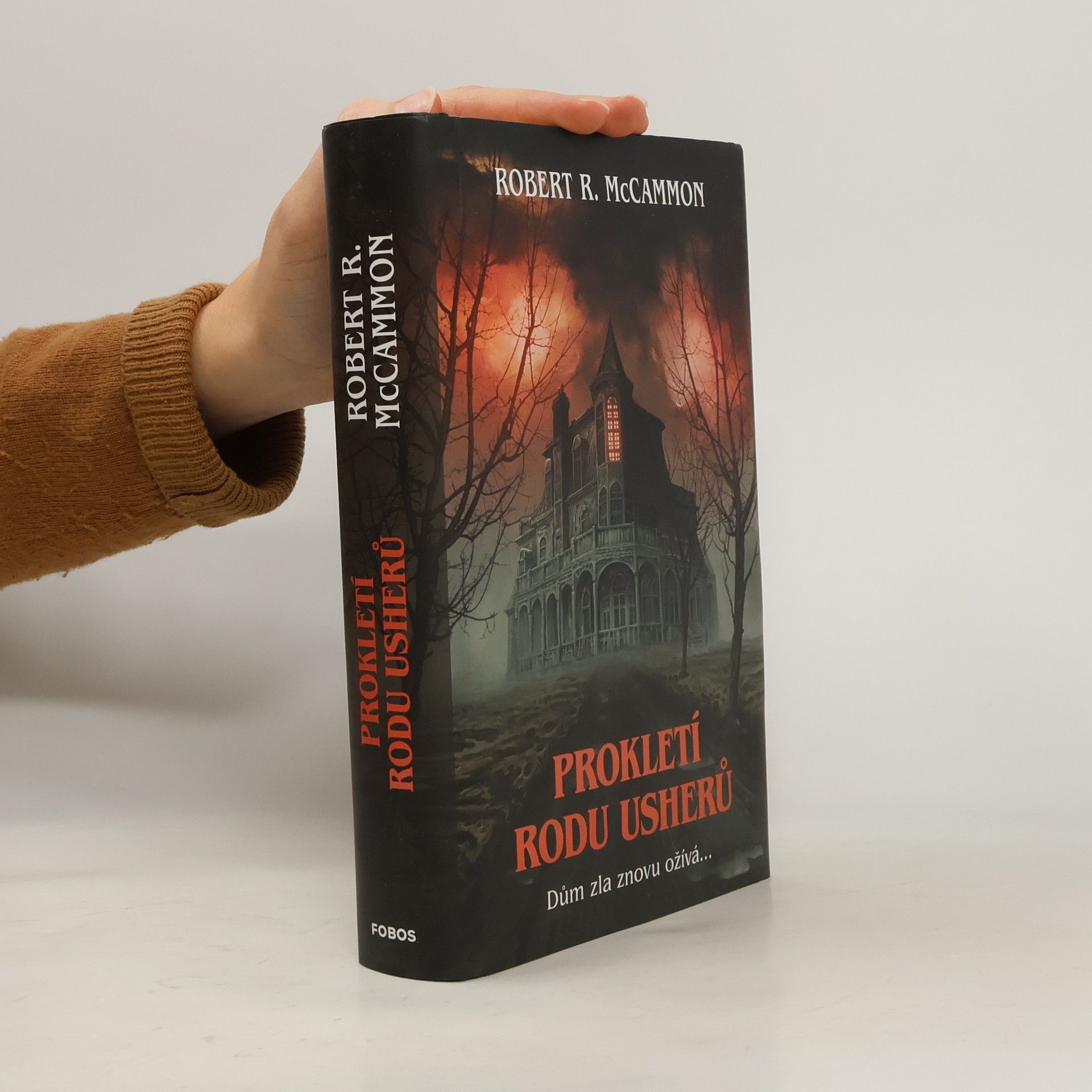 Robert R. McCammon Prokletí rodu Usherů