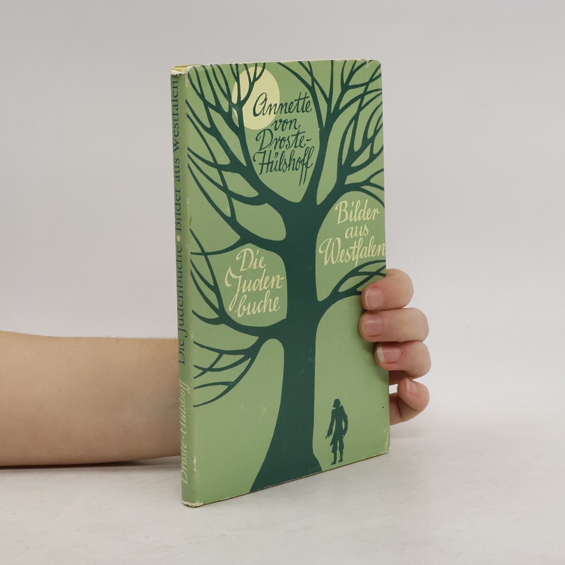 Annette von Droste-Hülshoff Die Judenbuche. Bilder aus Westfalen