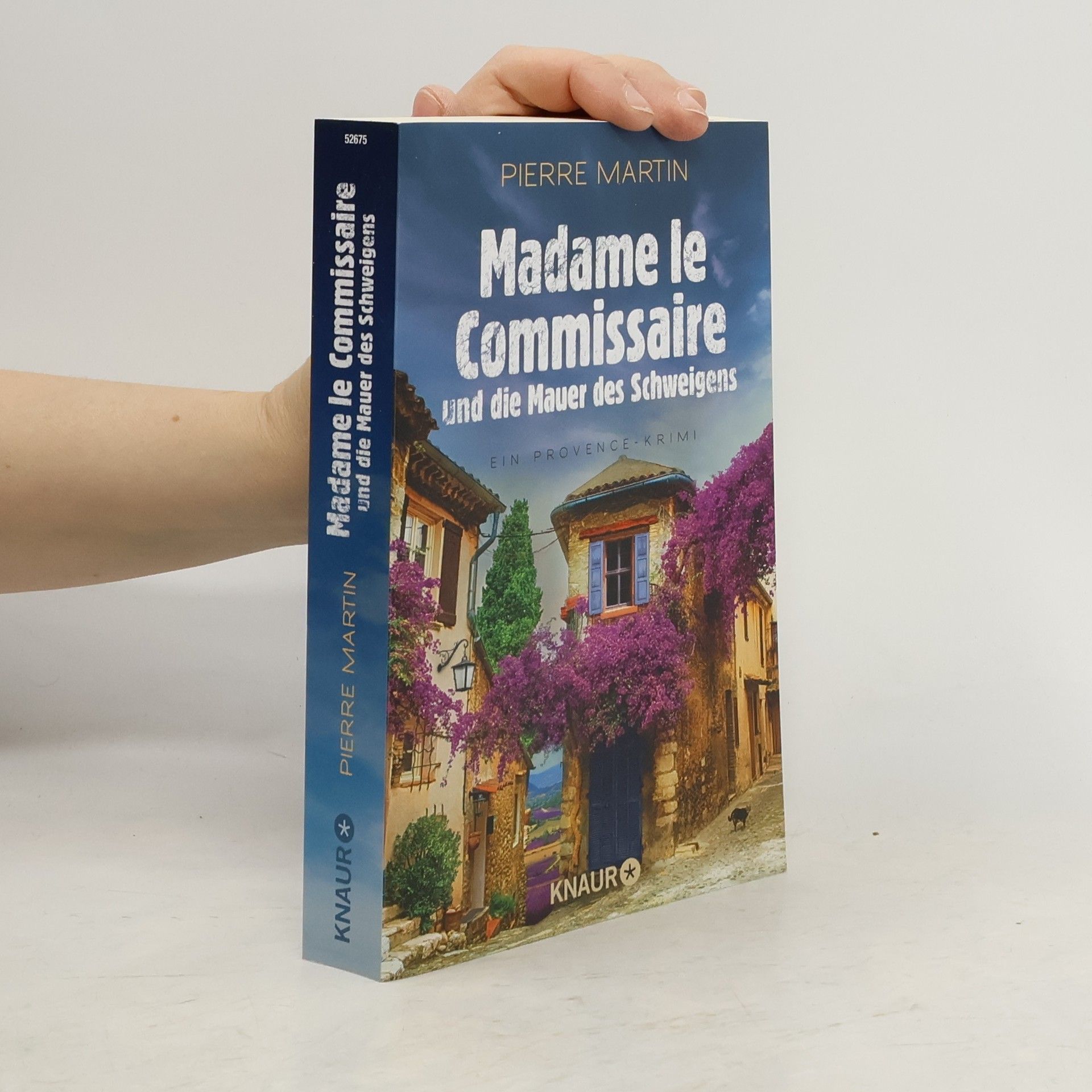 Pierre Martin Madame le Commissaire und die Mauer des Schweigens