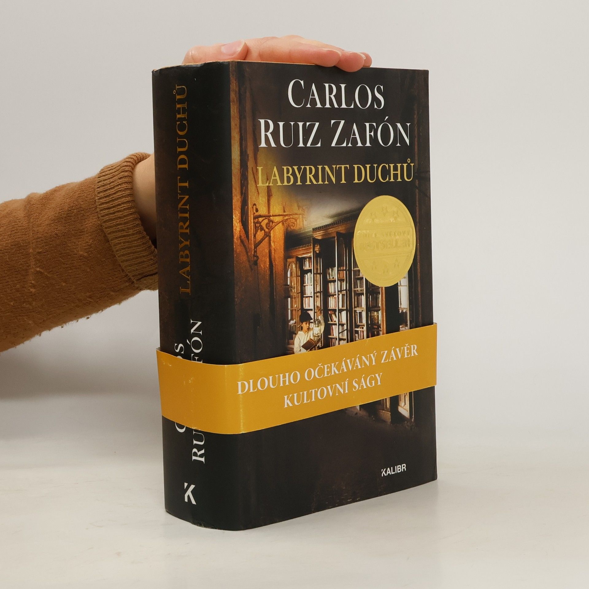 Carlos Ruiz Zafón Labyrint duchů