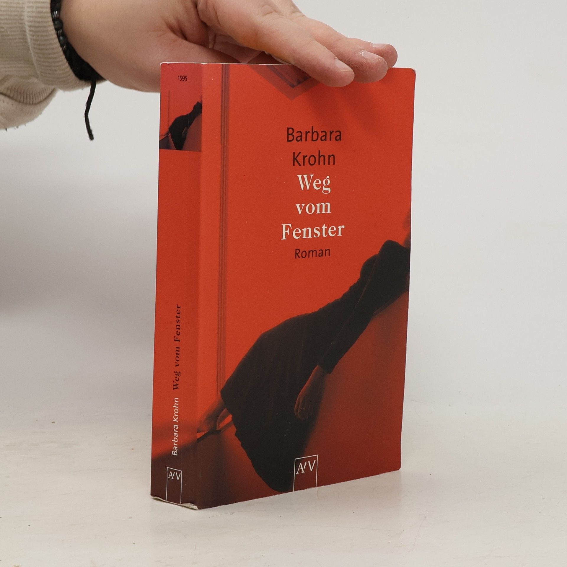 Barbara Krohn Weg vom Fenster